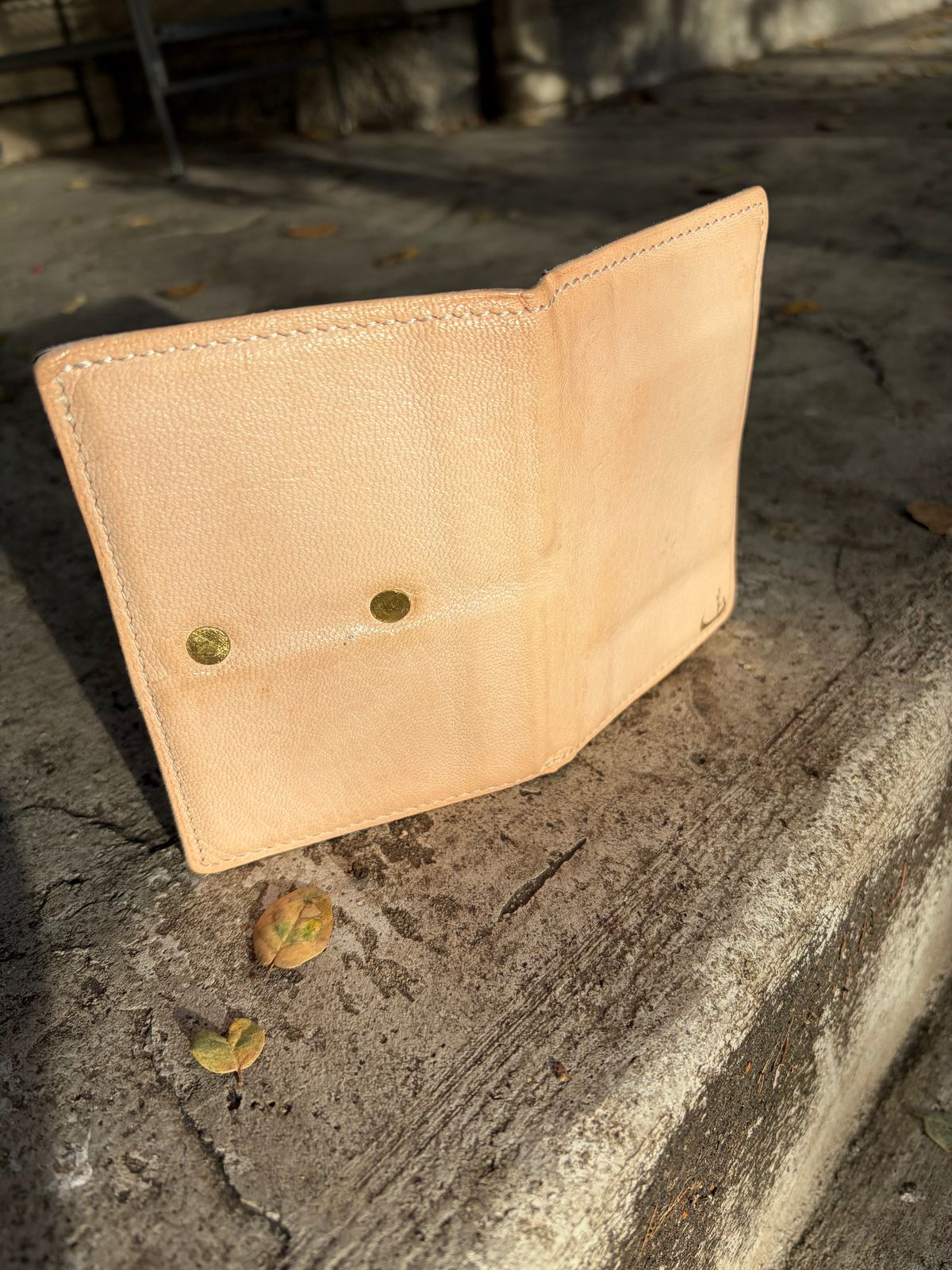 Photo by huntx4 on February 2, 2026 of the ifticar2 Dome Wallet in European Veg Tan Goat.