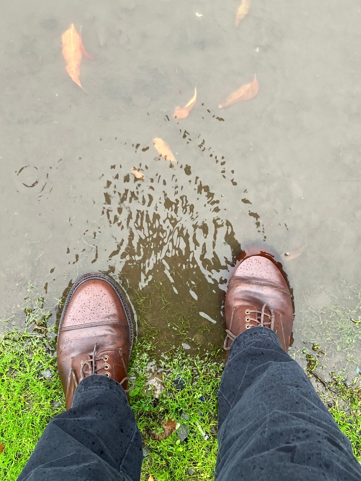 Photo by huntx4 on January 1, 2025 of the Grant Stone Cap Toe Boot in Horween Crimson Chromexcel.