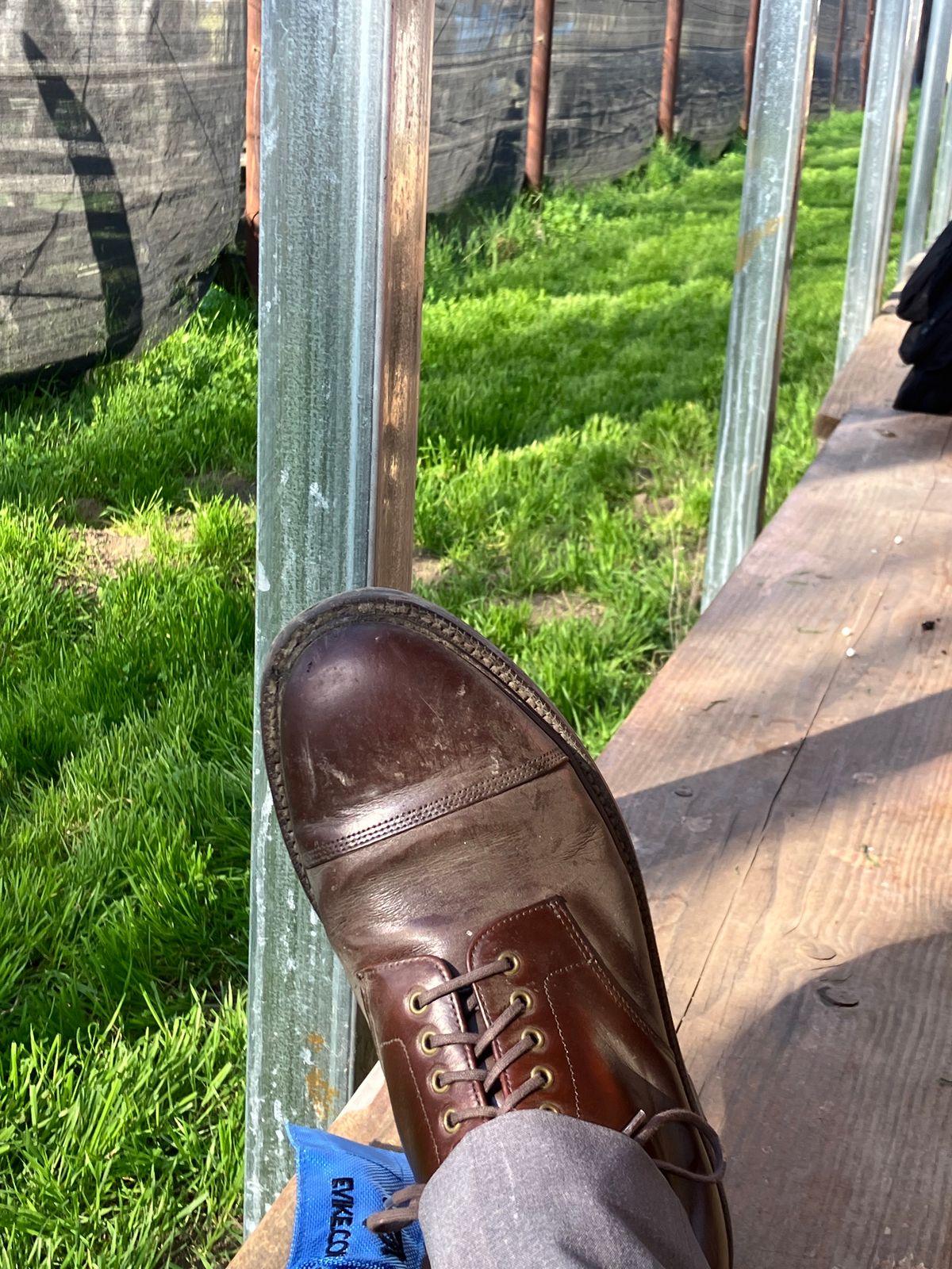 Photo by huntx4 on January 19, 2025 of the Grant Stone Cap Toe Boot in Horween Crimson Chromexcel.