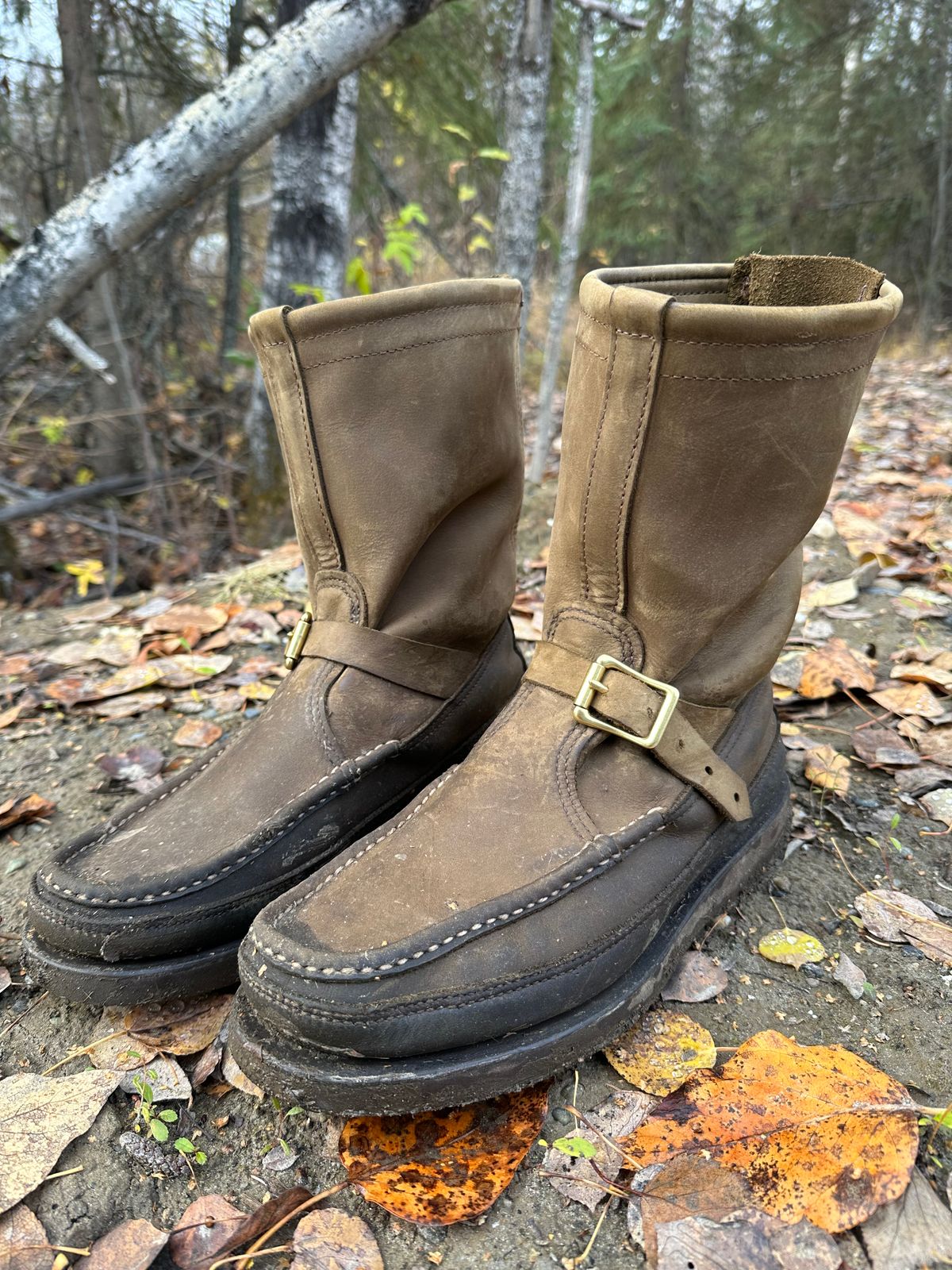 Photo by Mogo on October 7, 2025 of the Russell Moccasin Co. Zephyr II in S.B. Foot Sage Chamois.