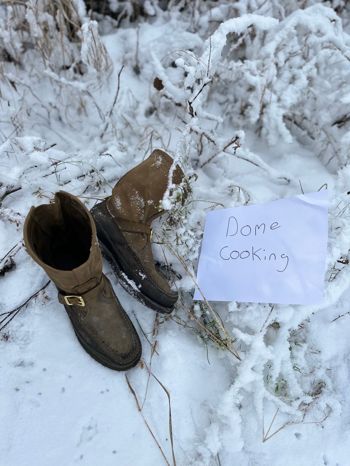 Photo by Mogo on November 4, 2025 of the Russell Moccasin Co. Zephyr II in S.B. Foot Sage Chamois.