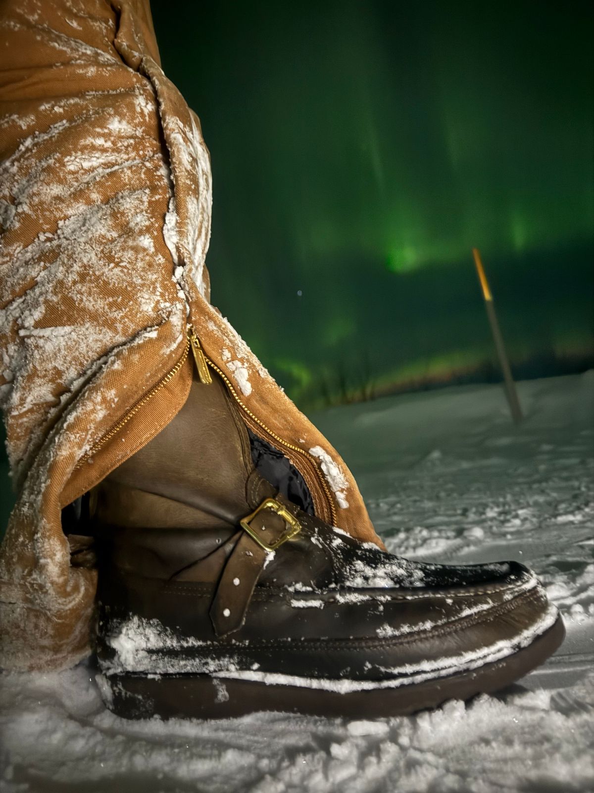 Photo by Mogo on January 20, 2026 of the Russell Moccasin Co. Zephyr II in S.B. Foot Sage Chamois.