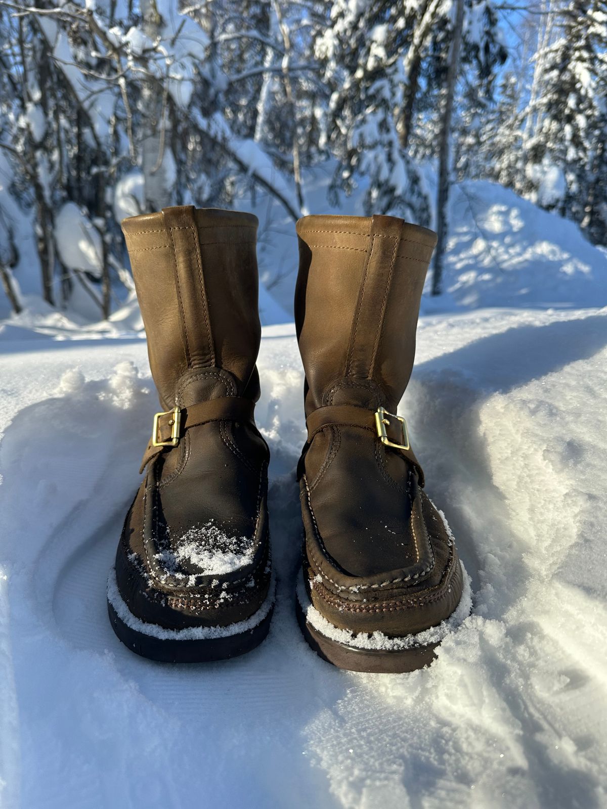 Photo by Mogo on March 1, 2026 of the Russell Moccasin Co. Zephyr II in S.B. Foot Sage Chamois.