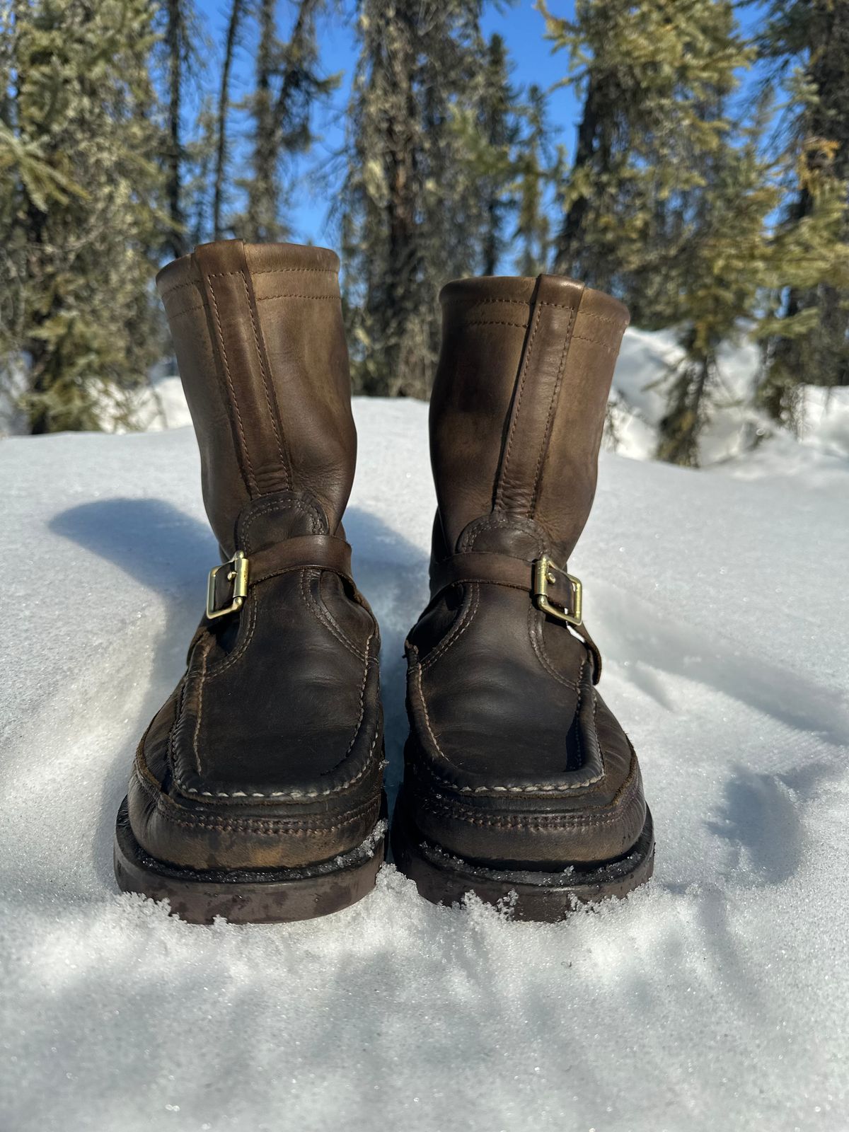 Photo by Mogo on April 3, 2026 of the Russell Moccasin Co. Zephyr II in S.B. Foot Sage Chamois.
