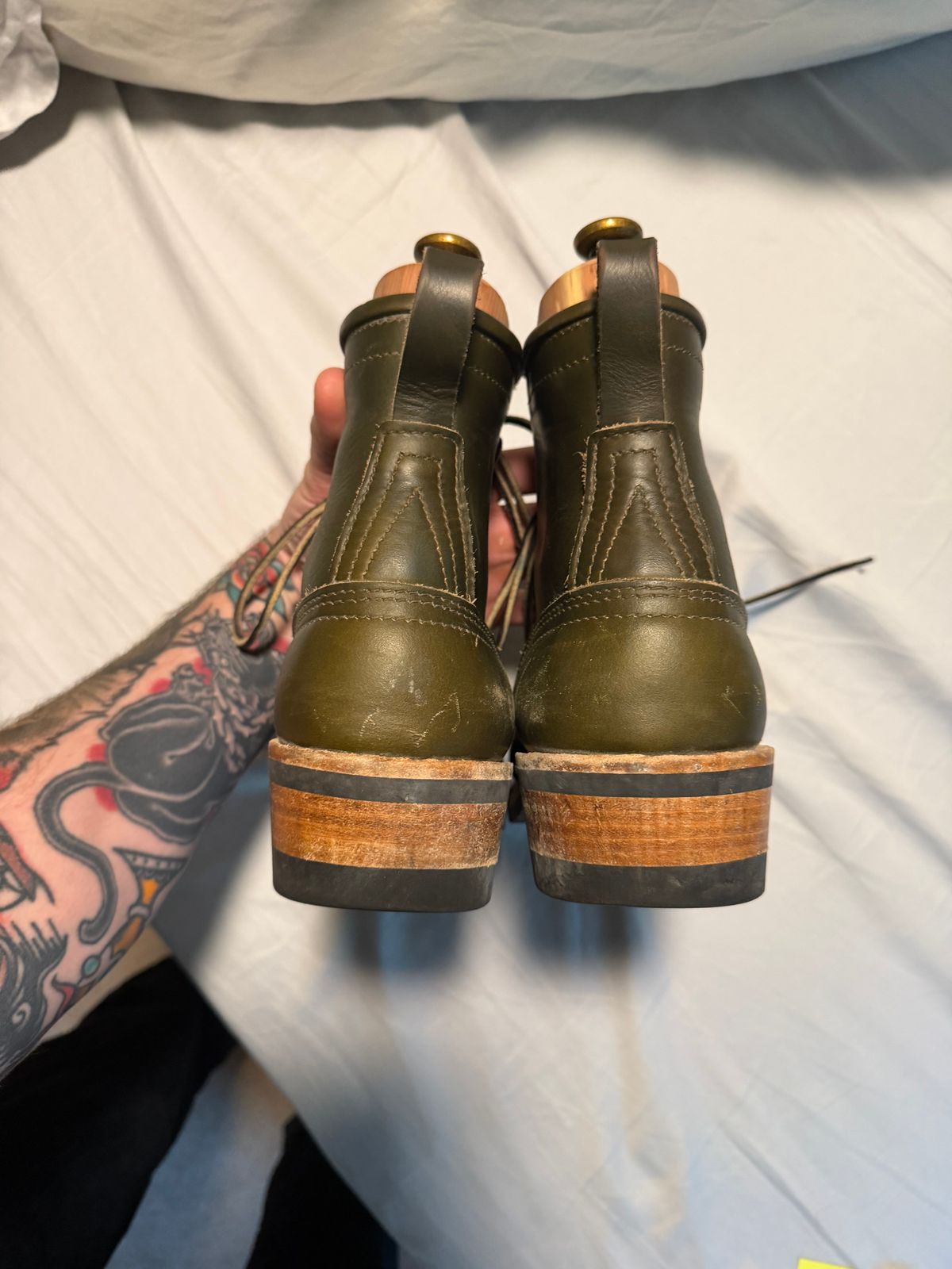 Photo by luckysean2 on November 2, 2025 of the Nicks Robert in Shackleton Greener Pastures.