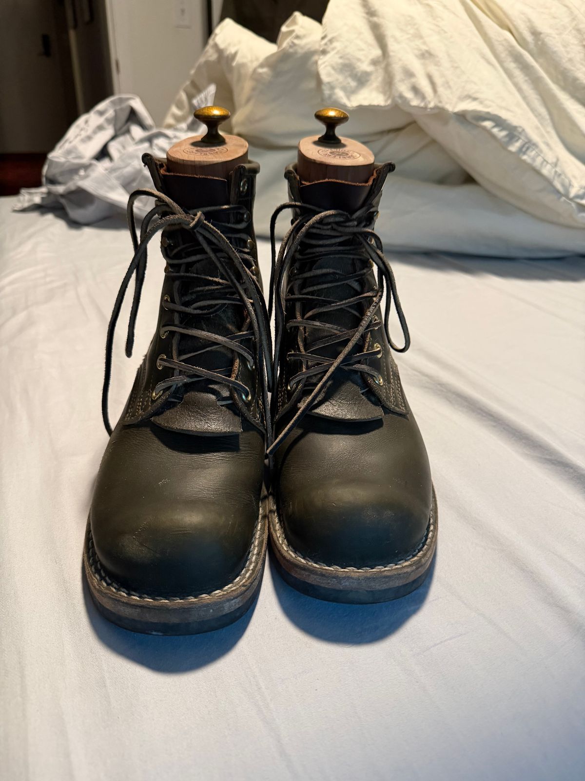 Photo by luckysean2 on November 2, 2025 of the Nicks Robert in Shackleton Greener Pastures.