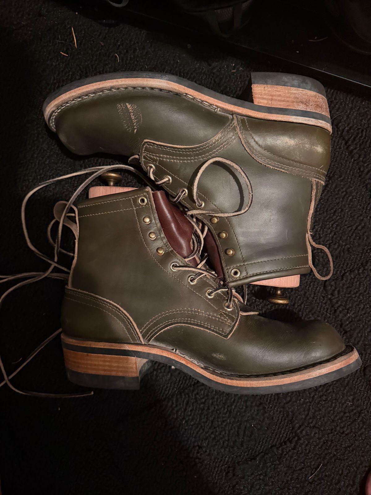 Photo by luckysean2 on November 3, 2025 of the Nicks Robert in Shackleton Greener Pastures.