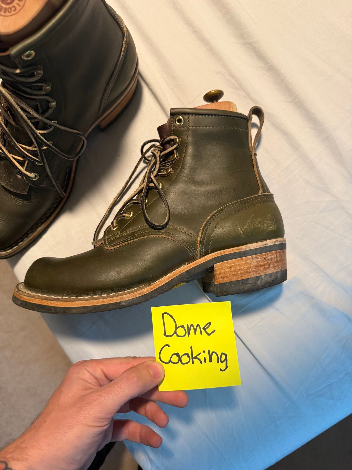 Photo by luckysean2 on November 2, 2025 of the Nicks Robert in Shackleton Greener Pastures.