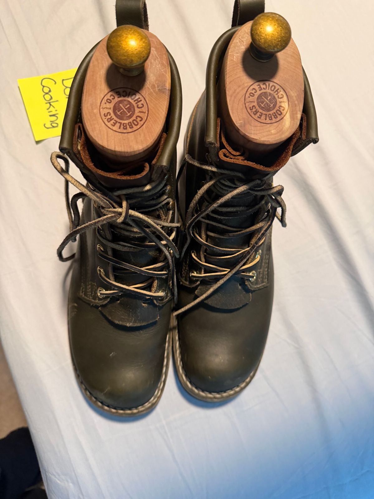 Photo by luckysean2 on November 2, 2025 of the Nicks Robert in Shackleton Greener Pastures.