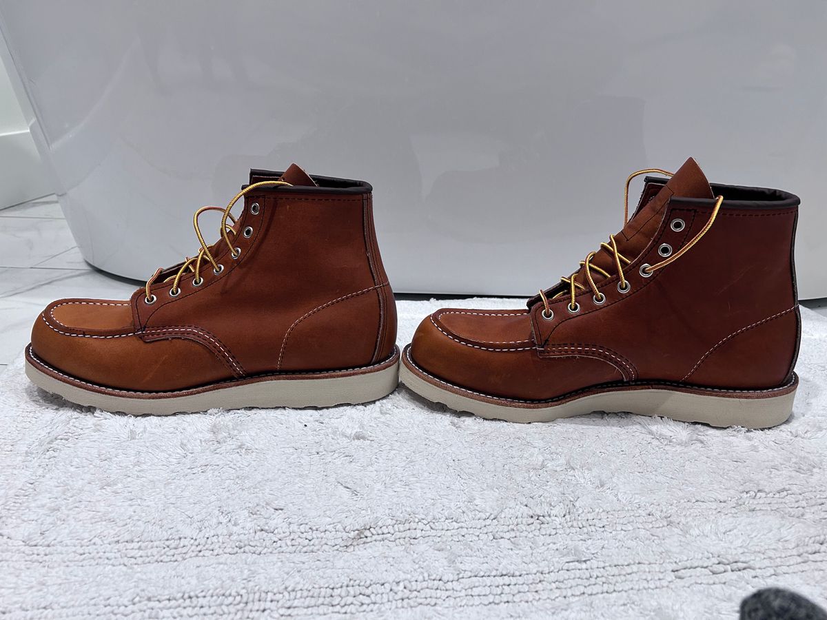 Photo by ShoesforStress on October 5, 2024 of the Red Wing 6-Inch Classic Moc in S.B. Foot Oro-Harness.
