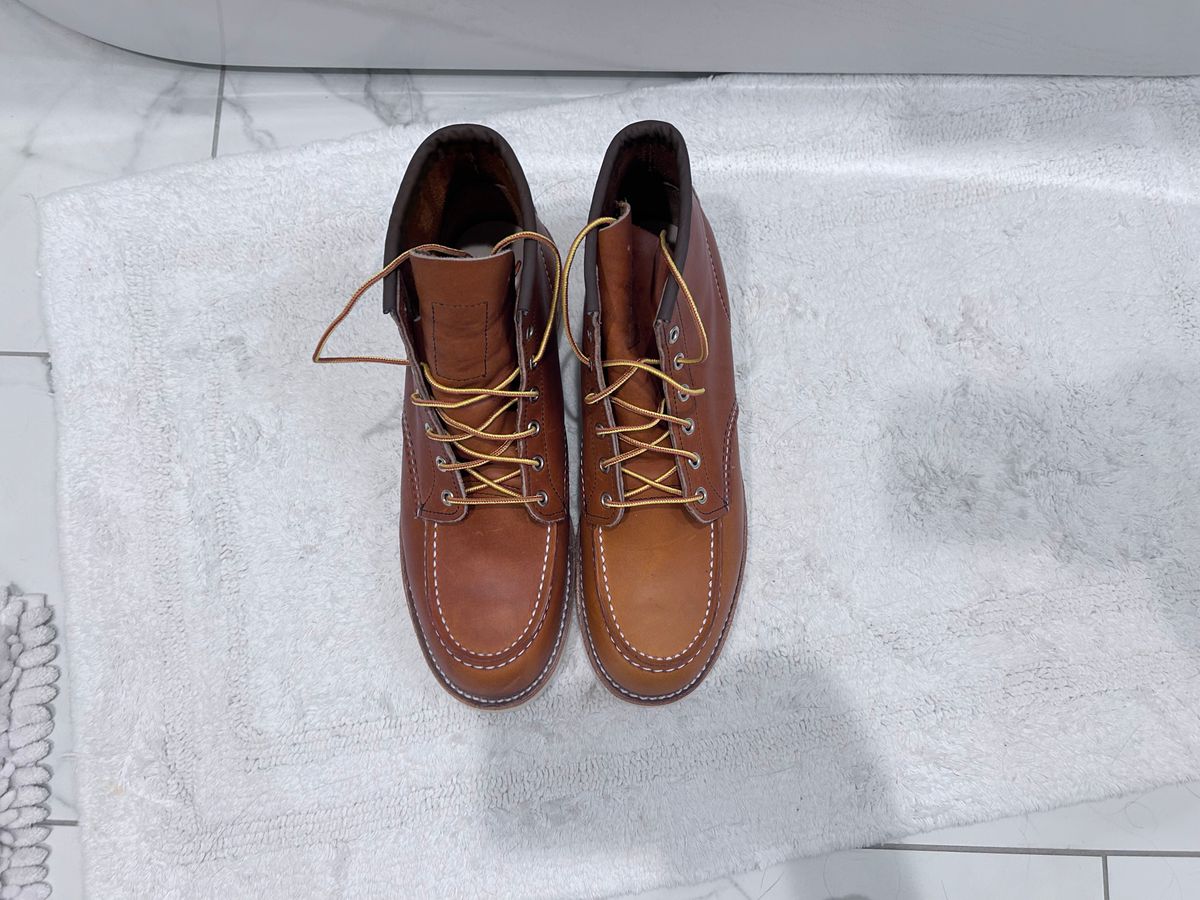 Photo by ShoesforStress on October 5, 2024 of the Red Wing 6-Inch Classic Moc in S.B. Foot Oro-Harness.