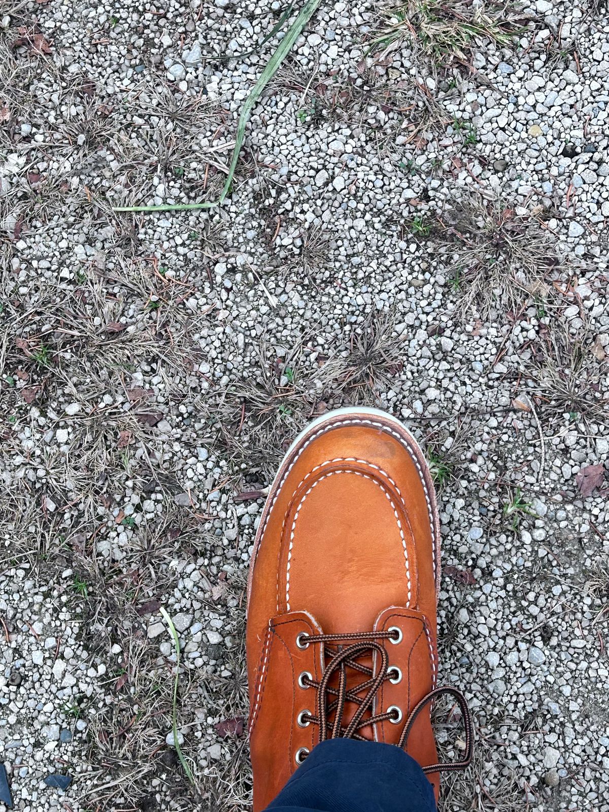 Photo by ShoesforStress on November 7, 2024 of the Red Wing 6-Inch Classic Moc in S.B. Foot Oro-Harness.