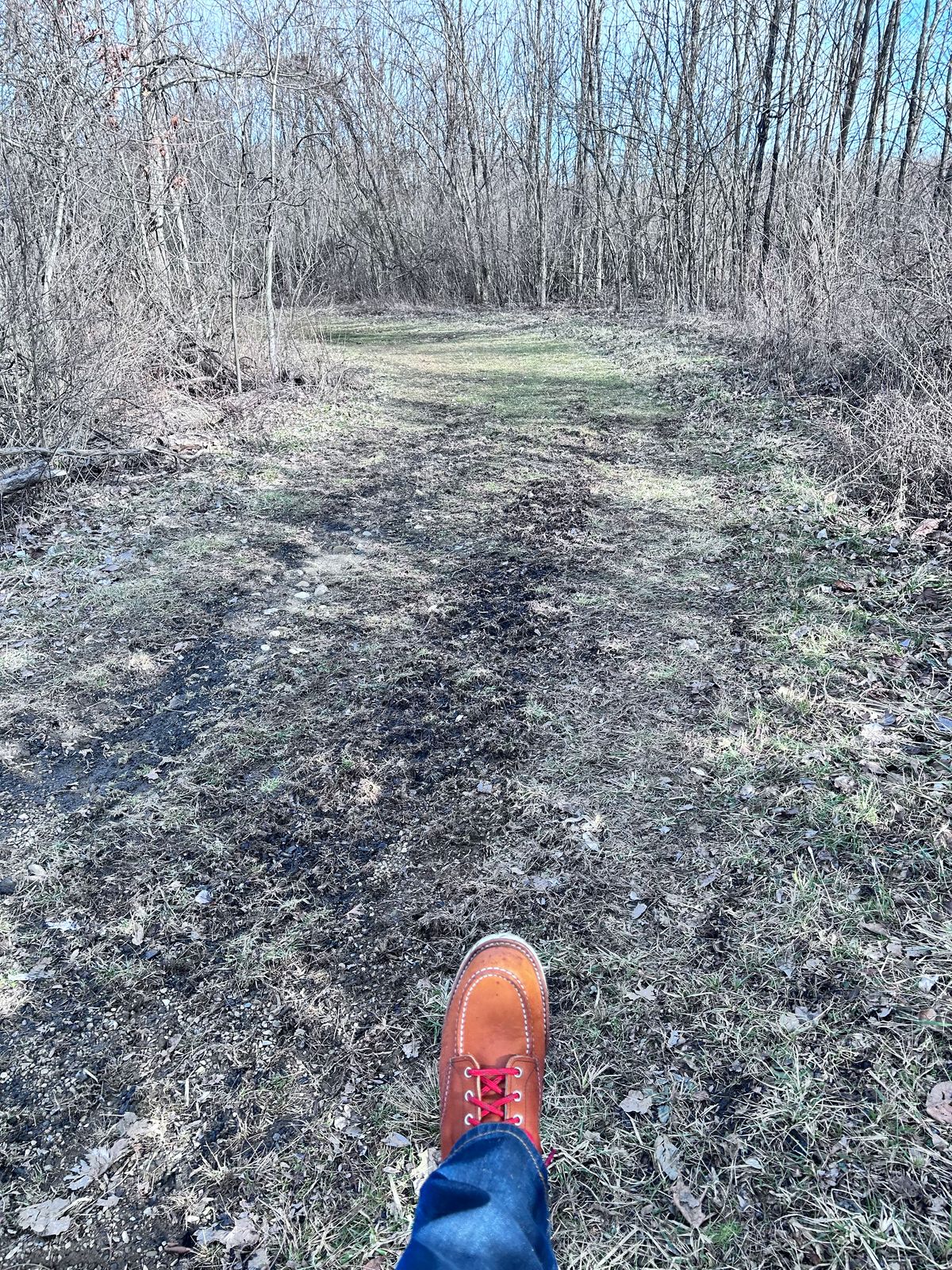Photo by ShoesforStress on March 4, 2025 of the Red Wing 6-Inch Classic Moc in S.B. Foot Oro-Harness.