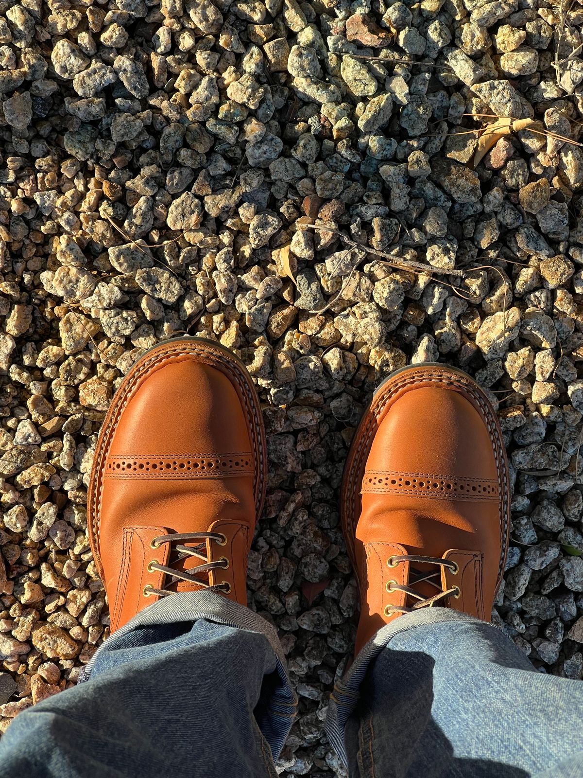 Photo by bootsnfloors on November 8, 2025 of the White's Bounty Hunter in Seidel Tobacco Stampede.