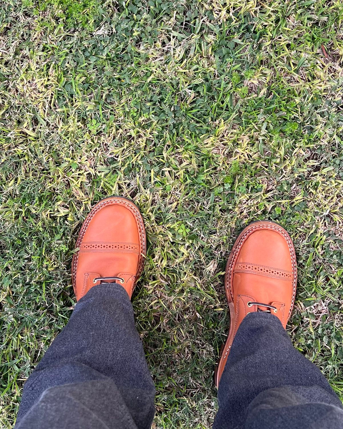 Photo by bootsnfloors on November 27, 2025 of the White's Bounty Hunter in Seidel Tobacco Stampede.