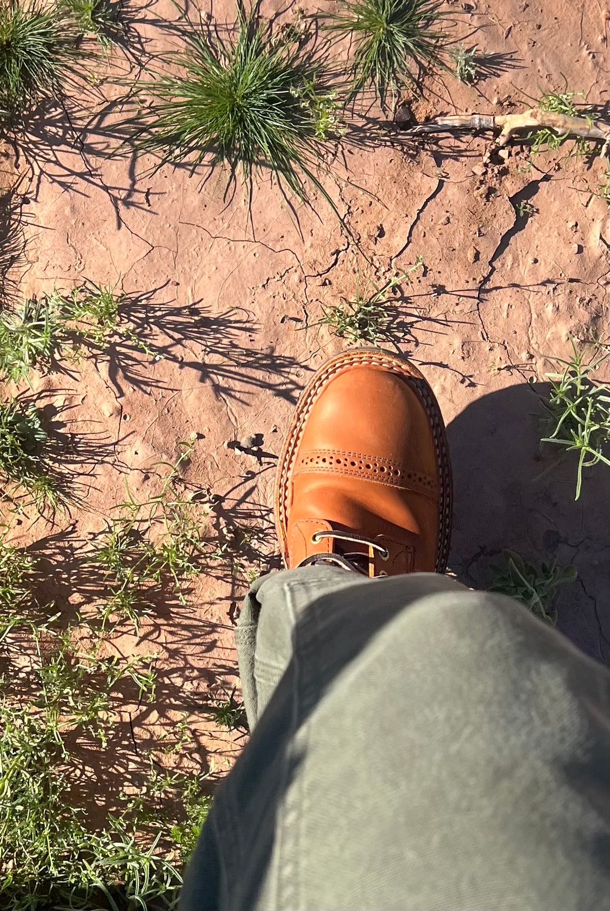 Photo by bootsnfloors on December 13, 2025 of the White's Bounty Hunter in Seidel Tobacco Stampede.