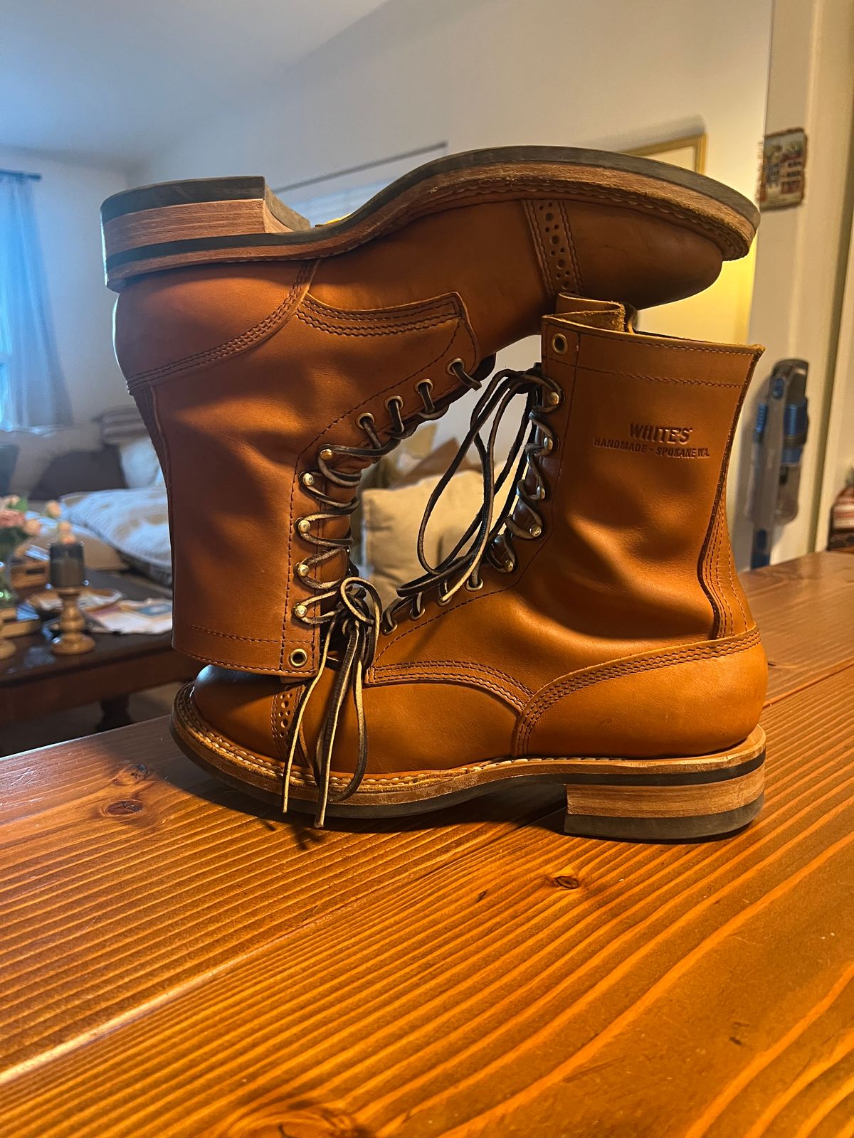 Photo by bootsnfloors on March 4, 2026 of the White's Bounty Hunter in Seidel Tobacco Stampede.