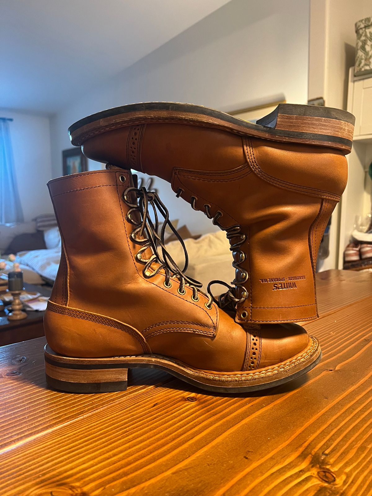 Photo by bootsnfloors on March 4, 2026 of the White's Bounty Hunter in Seidel Tobacco Stampede.