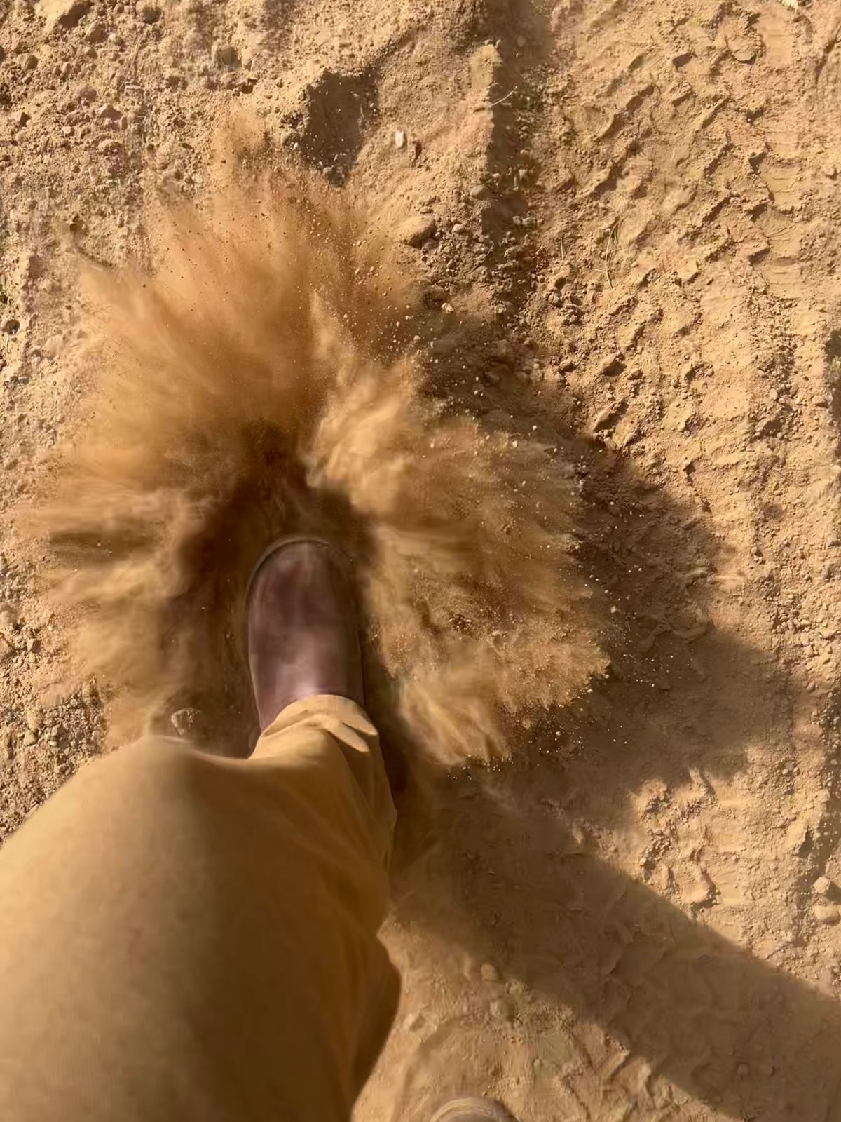 Photo by bootsnfloors on April 1, 2025 of the White's Westbale in Seidel Red Dog Oil Tan & Seidel Red Dog Oil Tan Roughout.