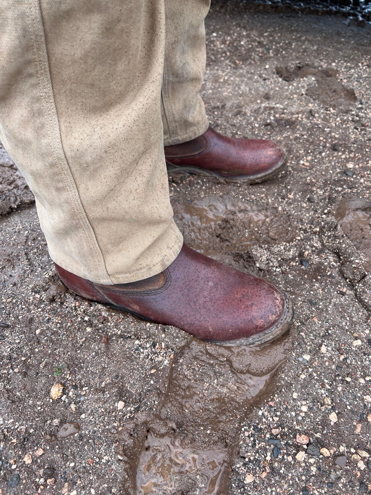 Photo by bootsnfloors on January 1, 2026 of the White's Westbale in Seidel Red Dog Oil Tan & Seidel Red Dog Oil Tan Roughout.