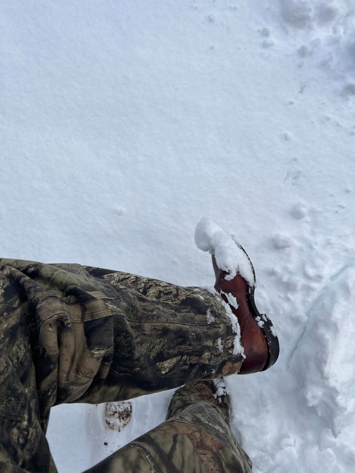 Photo by bootsnfloors on January 9, 2026 of the White's Westbale in Seidel Red Dog Oil Tan & Seidel Red Dog Oil Tan Roughout.