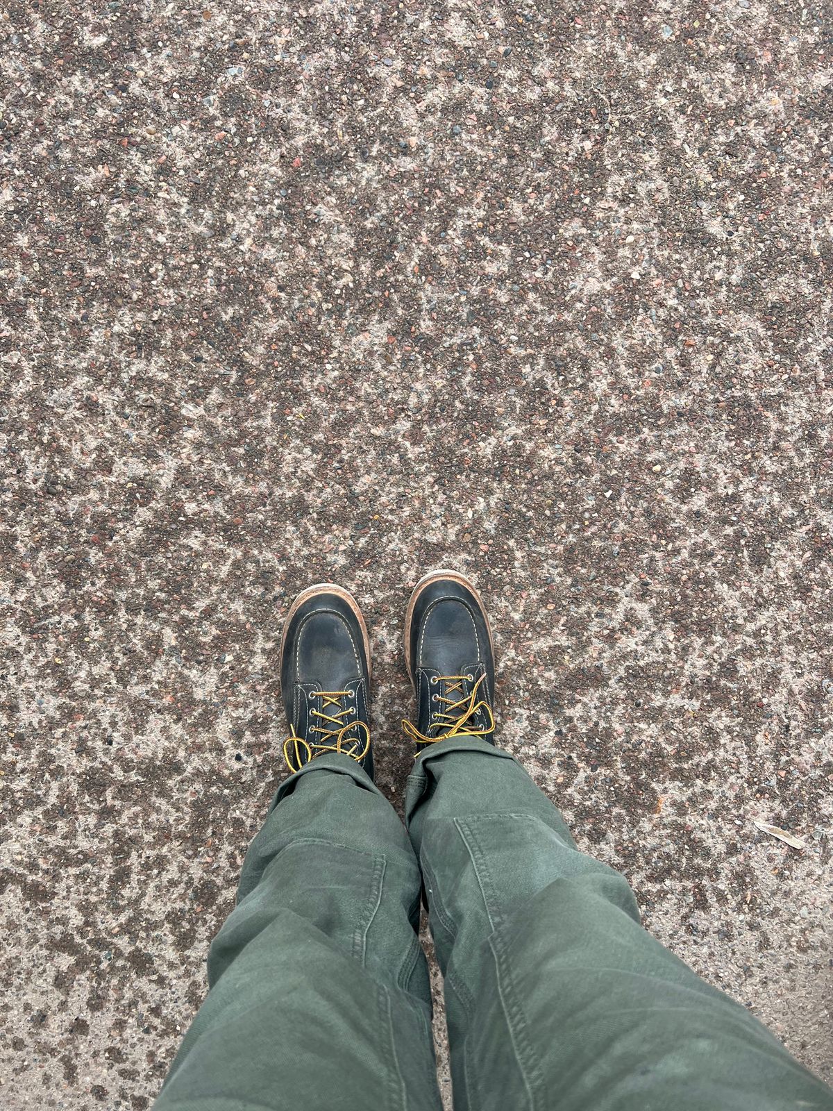 Photo by bootsnfloors on February 14, 2025 of the White's Perry 8" in Seidel Black Oil Tan.
