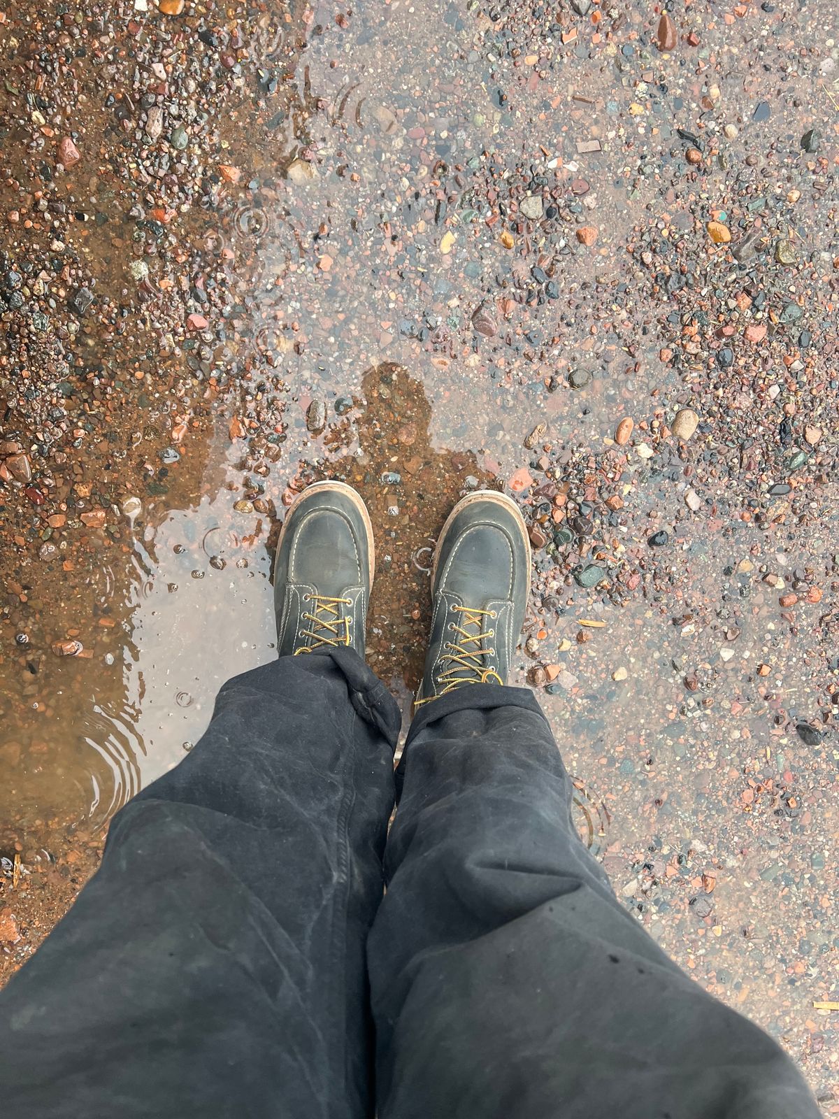 Photo by bootsnfloors on March 7, 2025 of the White's Perry 8" in Seidel Black Oil Tan.