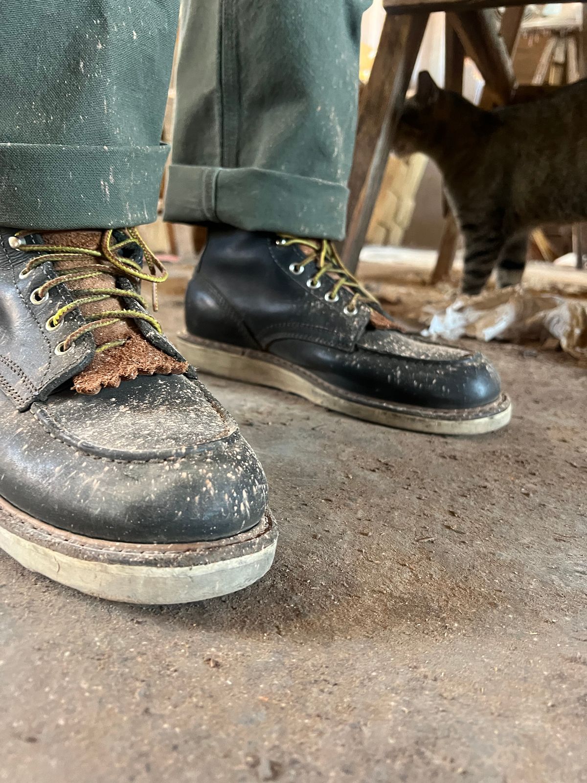 Photo by bootsnfloors on September 10, 2025 of the White's Perry 8" in Seidel Black Oil Tan.