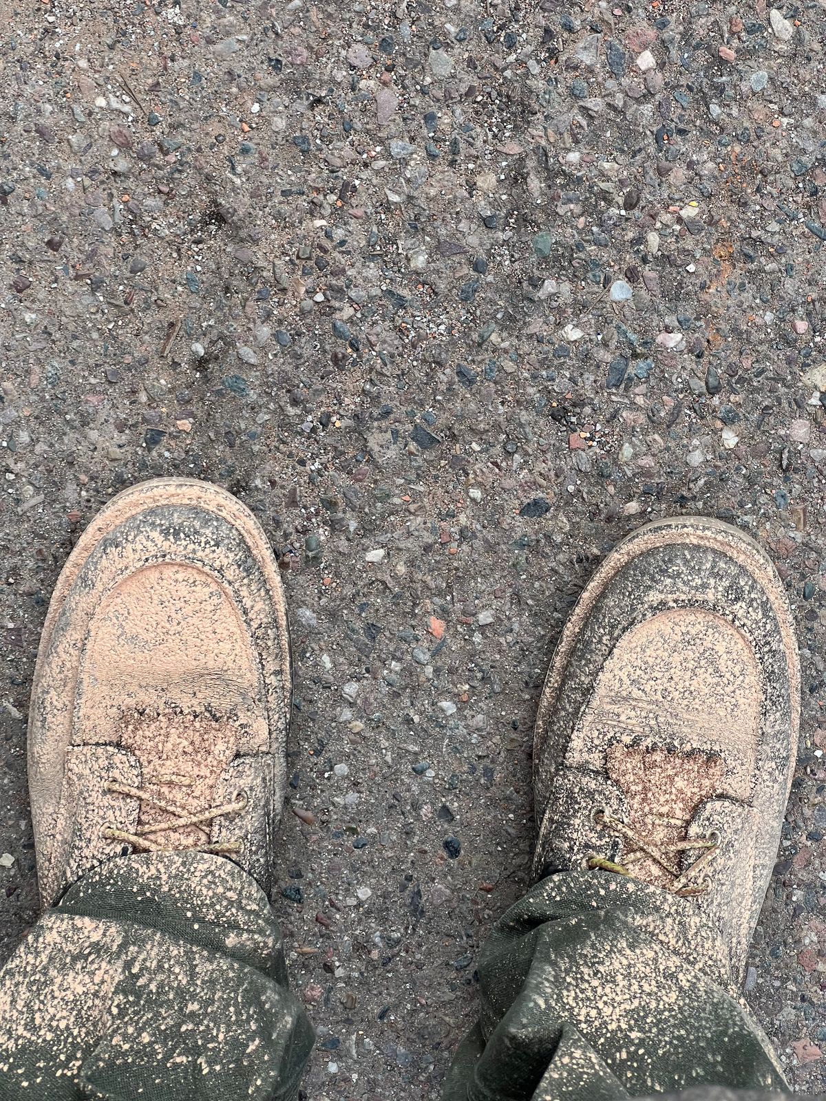 Photo by bootsnfloors on October 21, 2025 of the White's Perry 8" in Seidel Black Oil Tan.