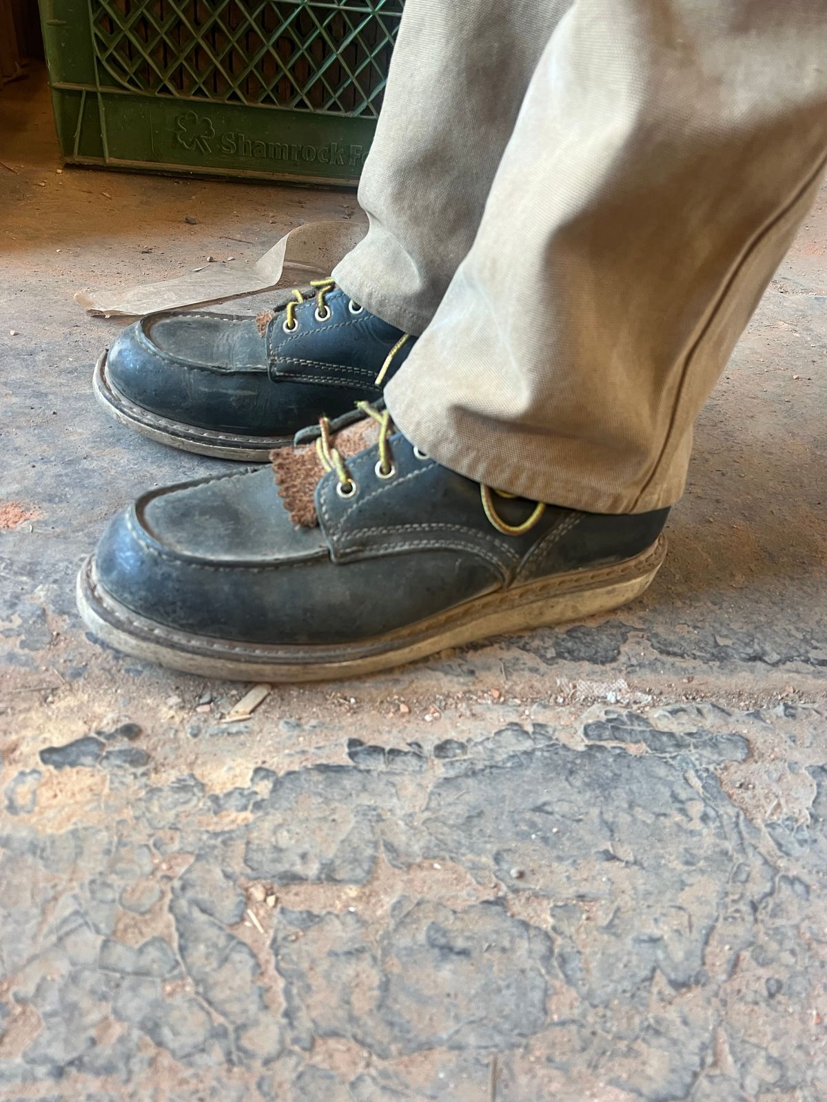 Photo by bootsnfloors on December 9, 2025 of the White's Perry 8" in Seidel Black Oil Tan.