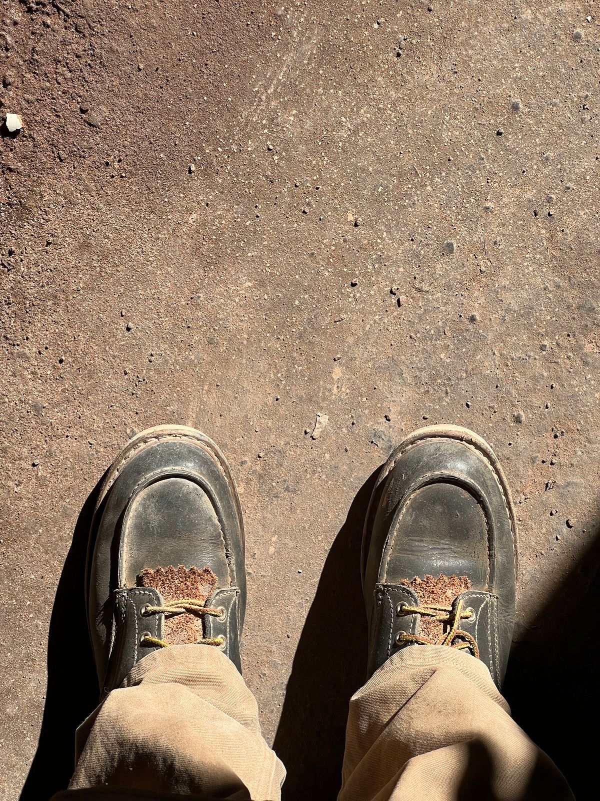 Photo by bootsnfloors on December 9, 2025 of the White's Perry 8" in Seidel Black Oil Tan.