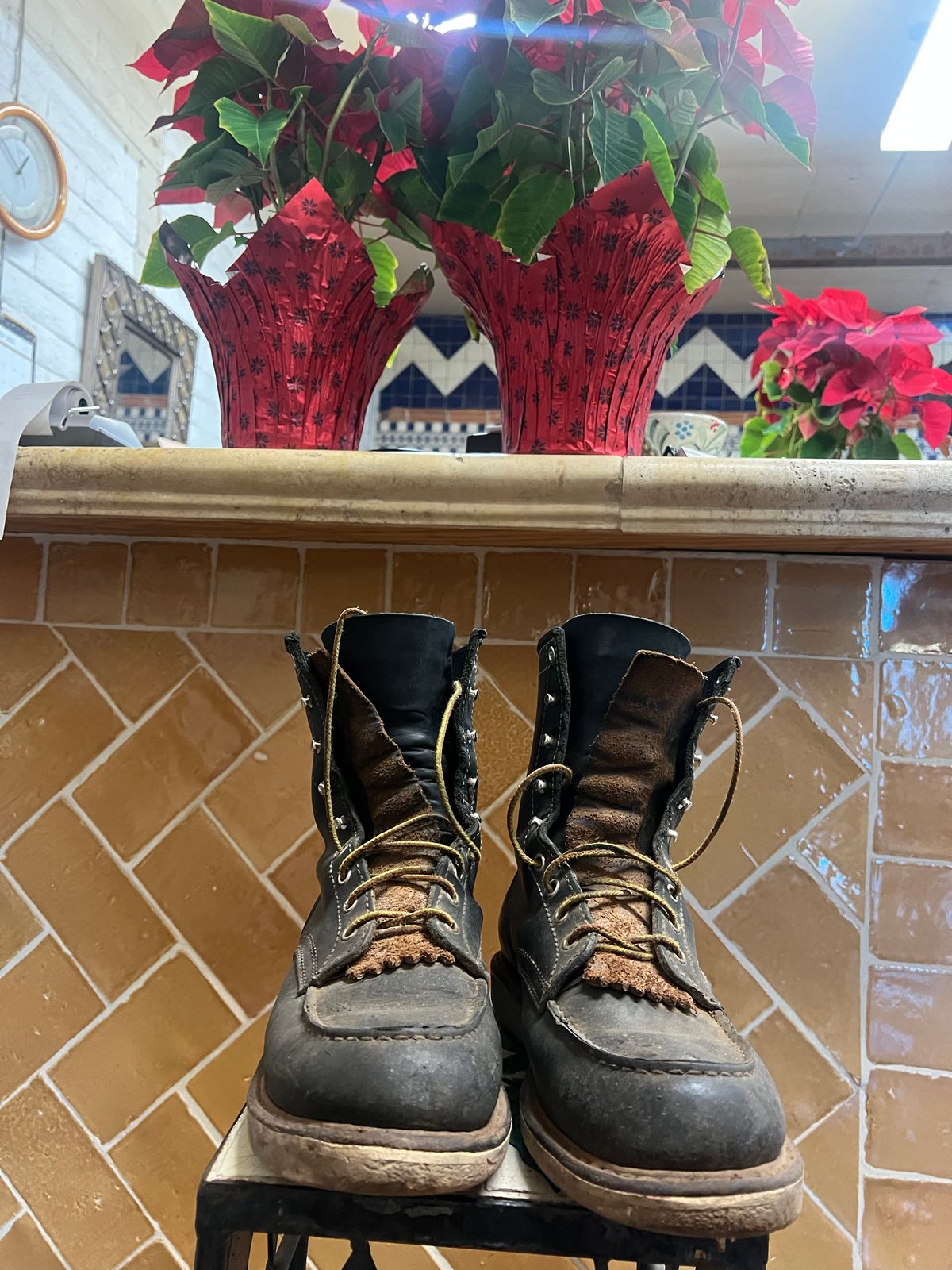 Photo by bootsnfloors on December 16, 2025 of the White's Perry 8" in Seidel Black Oil Tan.