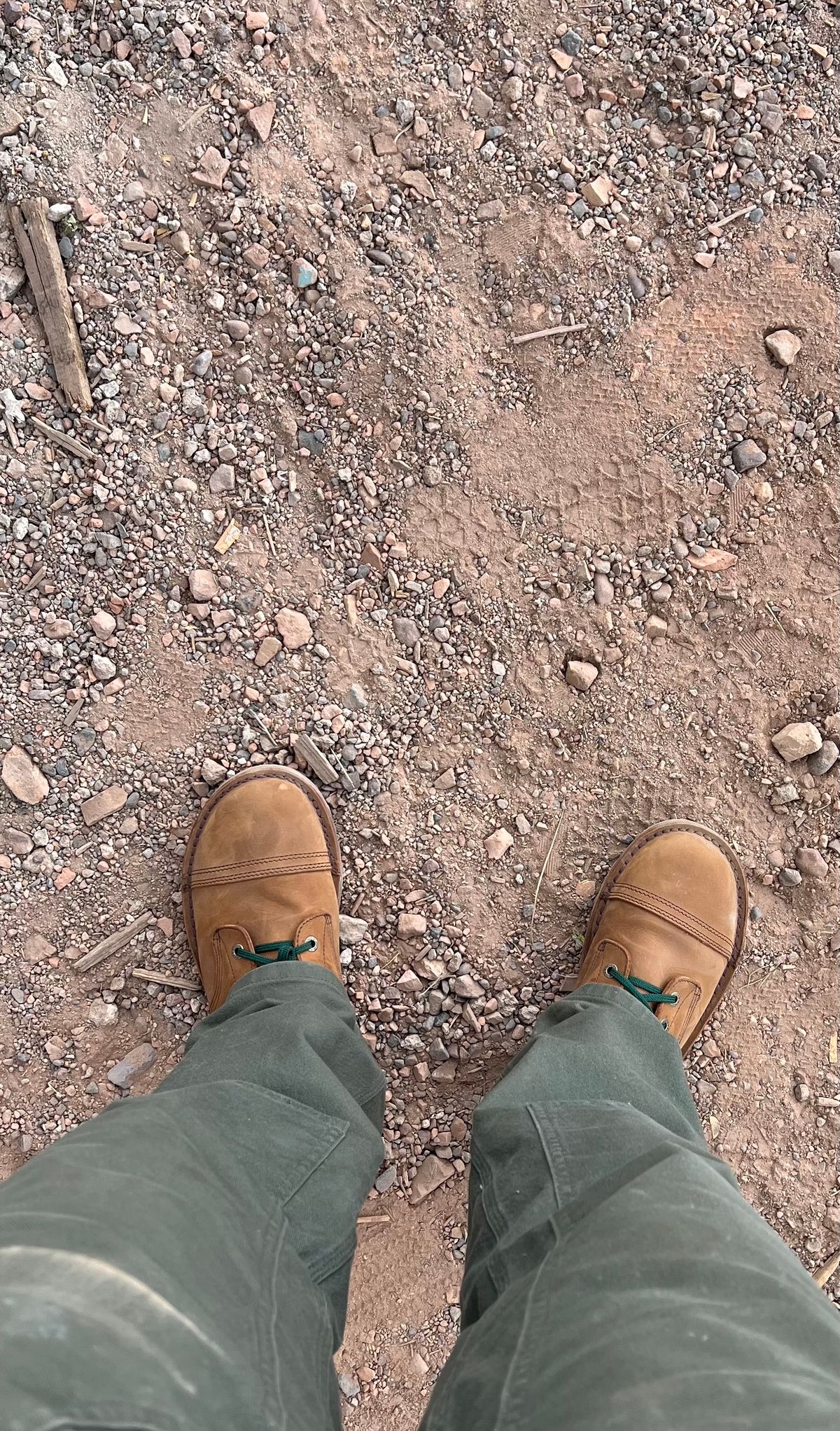 Photo by bootsnfloors on May 6, 2025 of the Jim Green African Trooper Barefoot in Fudge Crazy Horse.