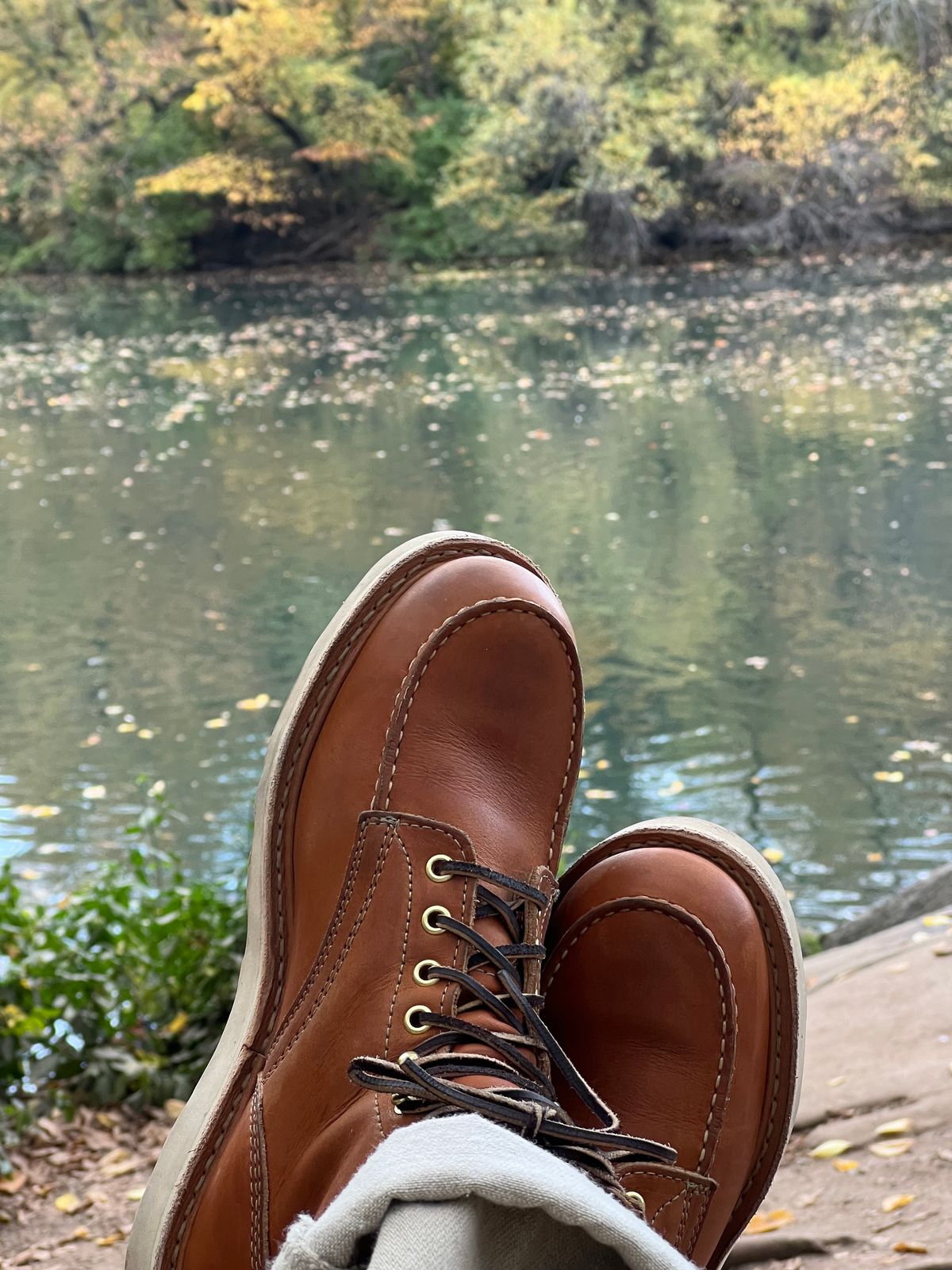 Photo by bootsnfloors on October 31, 2024 of the White's Perry 6" Select in Seidel Tobacco Stampede.