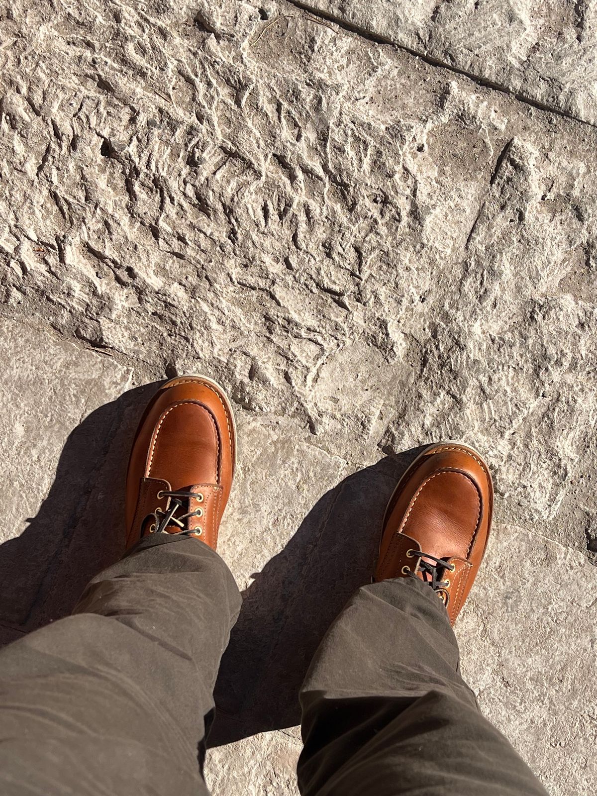 Photo by bootsnfloors on January 21, 2025 of the White's Perry 6" Select in Seidel Tobacco Stampede.