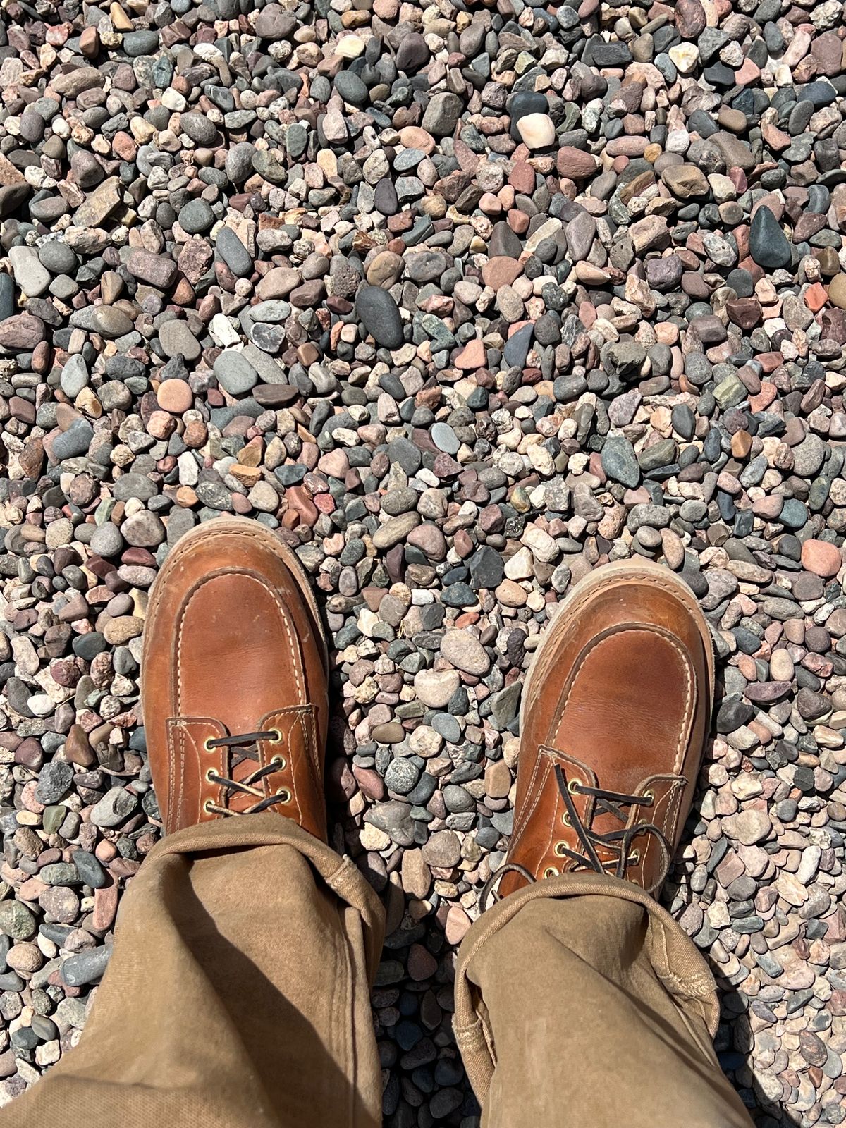 Photo by bootsnfloors on May 2, 2025 of the White's Perry 6" Select in Seidel Tobacco Stampede.