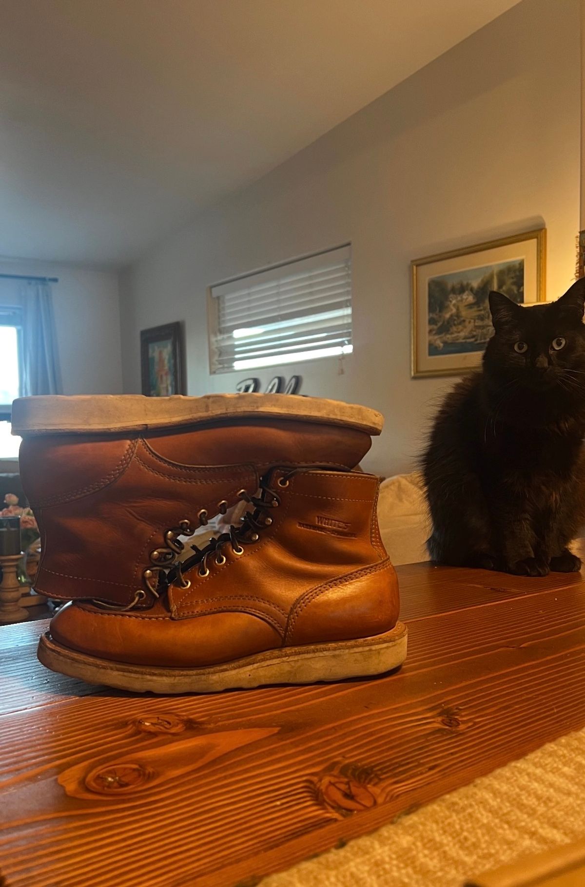 Photo by bootsnfloors on March 4, 2026 of the White's Perry 6" Select in Seidel Tobacco Stampede.