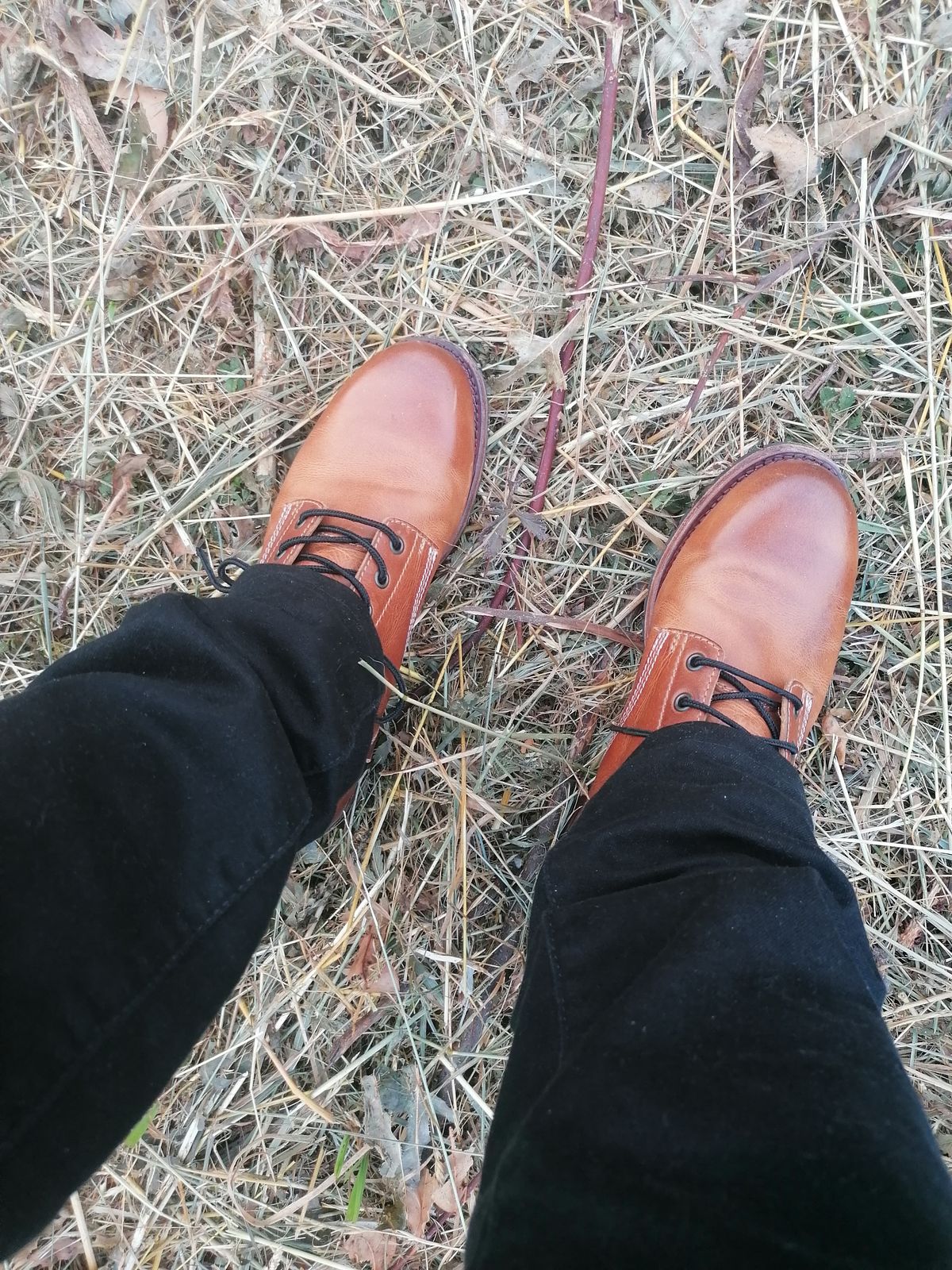 Photo by AmbBarba on July 10, 2025 of the Sendra 10604 Milles Evolution Tang in Oiled Brown Skin.