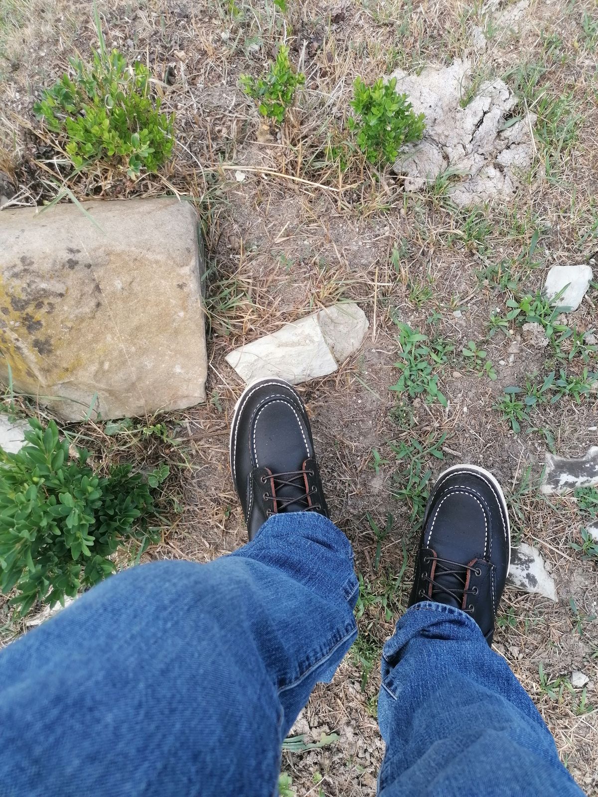 Photo by AmbBarba on July 8, 2025 of the Red Wing 8849 Moc Toe Black Prairie in Leather Black.