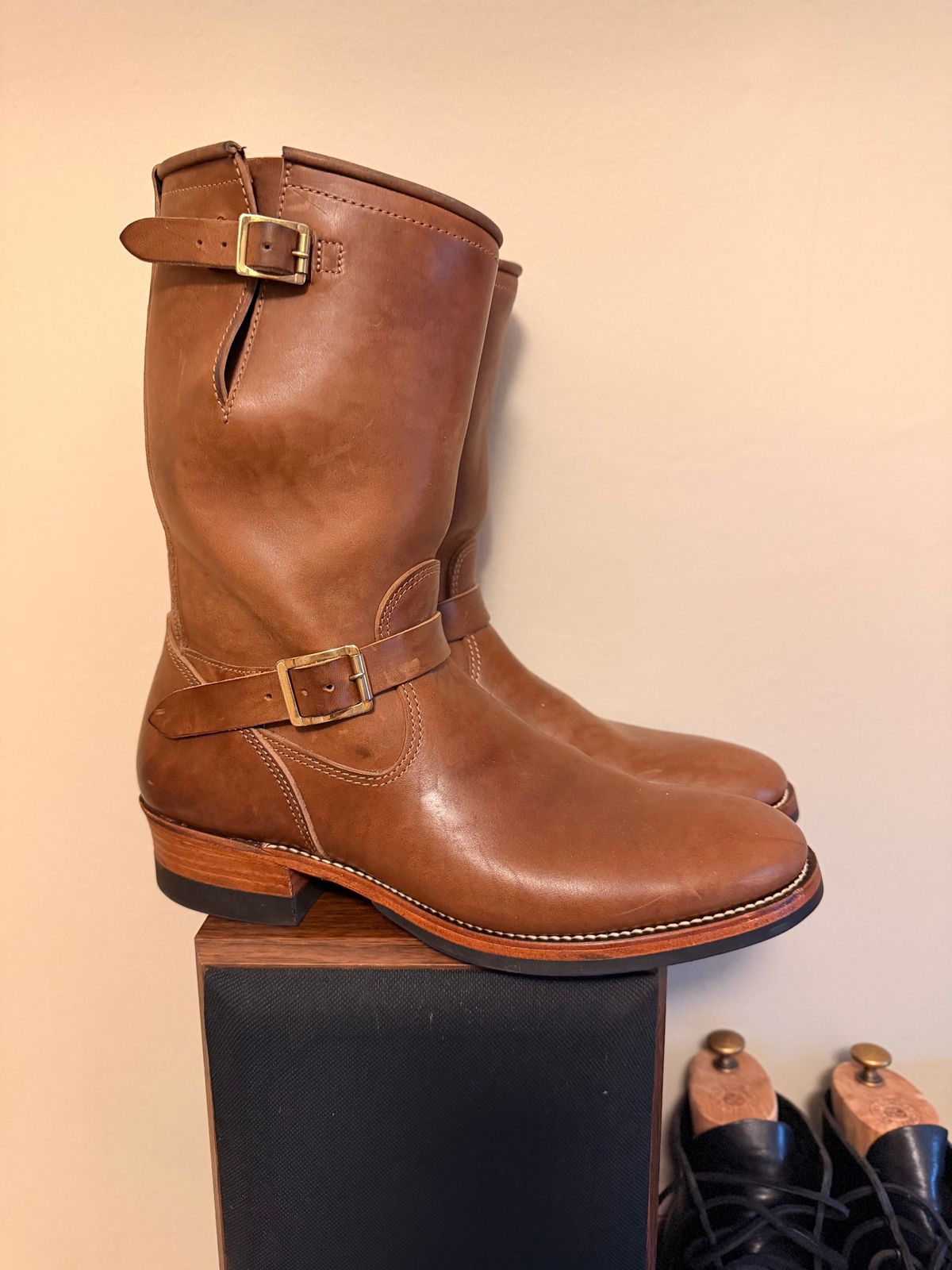 Photo by moznme on January 10, 2026 of the Attractions BILTBUCK Lot 444 in Brown Italian Horsebutt.