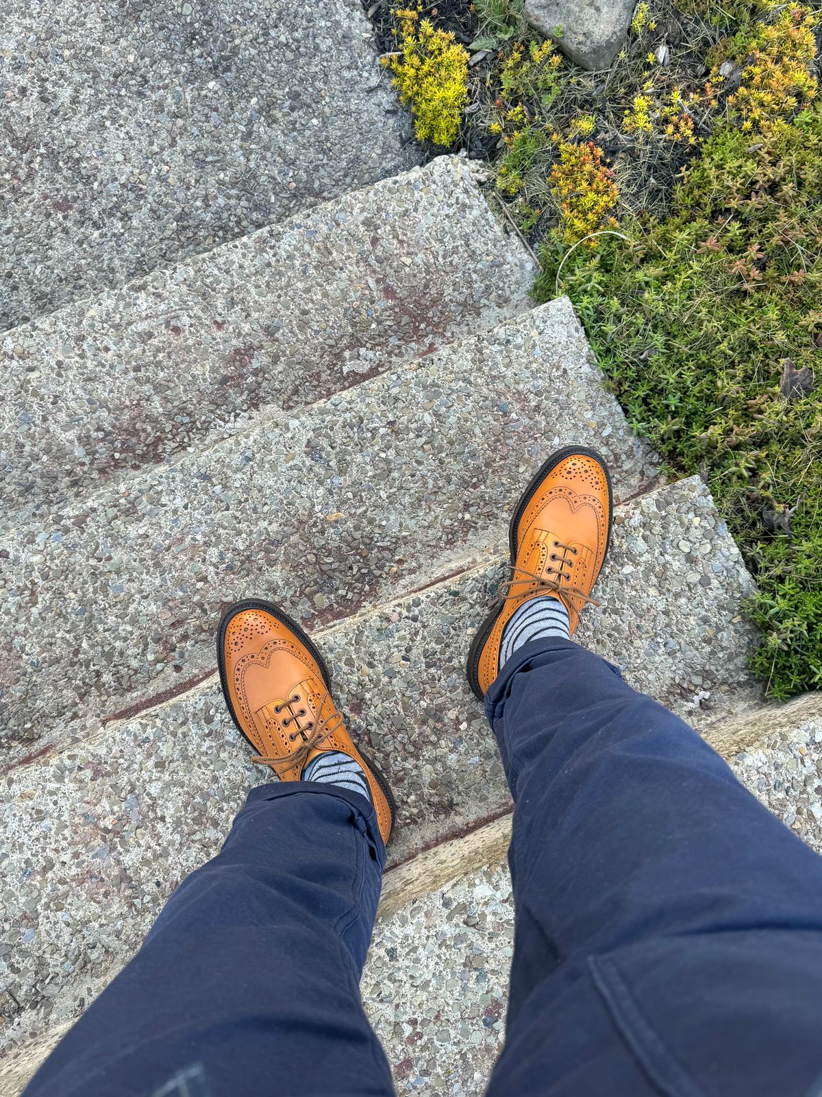 Photo by moznme on May 2, 2024 of the Tricker's Bourton Country Shoe in Acorn Antique.