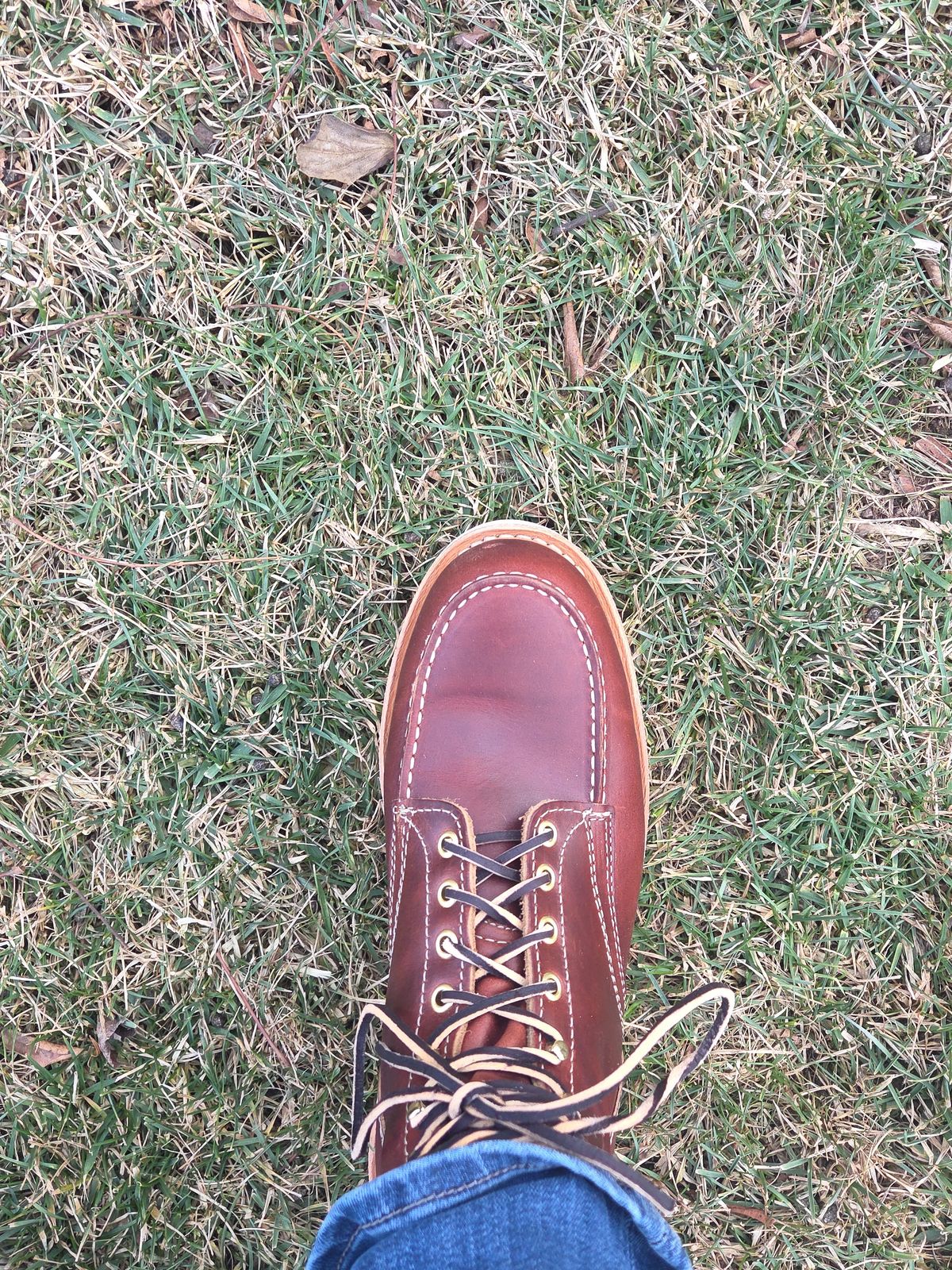 Photo by JBaker73 on February 10, 2026 of the White's Perry 6" Select in Seidel British Tan Double Shot.