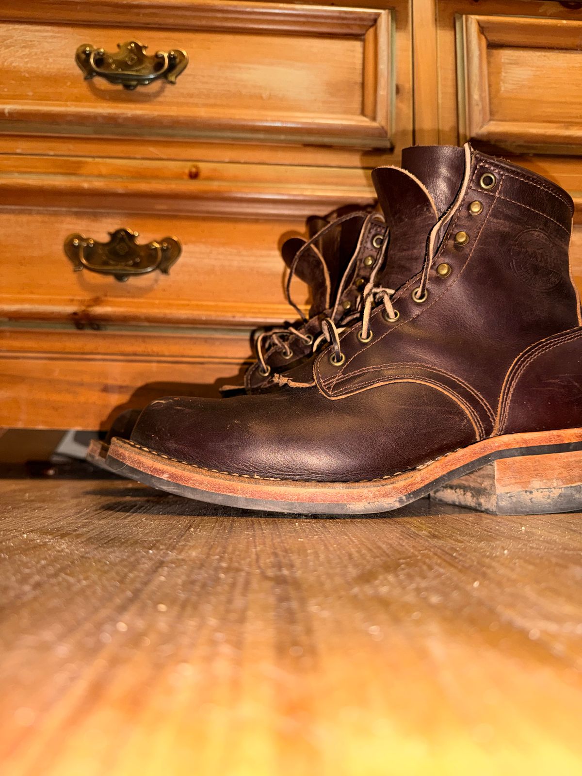 Photo by Ahab78 on October 2, 2025 of the Frank's Boots Wilshire in Seidel Brown Domain.