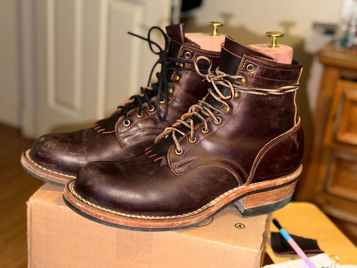 Photo by Ahab78 on November 5, 2025 of the Frank's Boots Wilshire in Seidel Brown Domain.