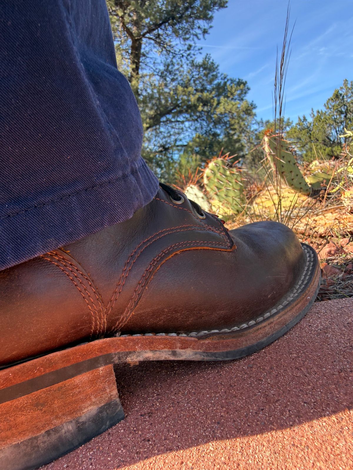 Photo by Ahab78 on November 25, 2025 of the Frank's Boots Wilshire in Seidel Brown Domain.