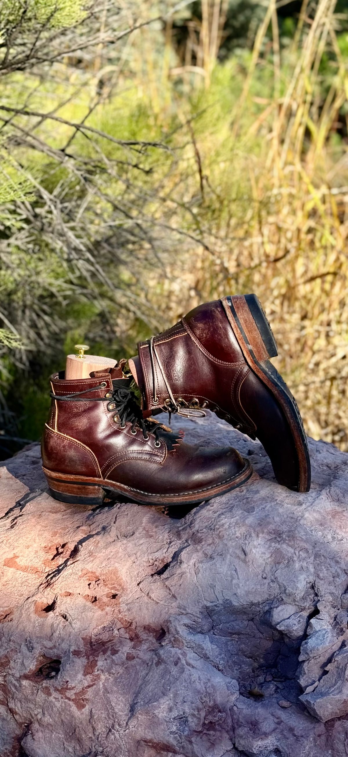Photo by Ahab78 on December 1, 2025 of the Frank's Boots Wilshire in Seidel Brown Domain.
