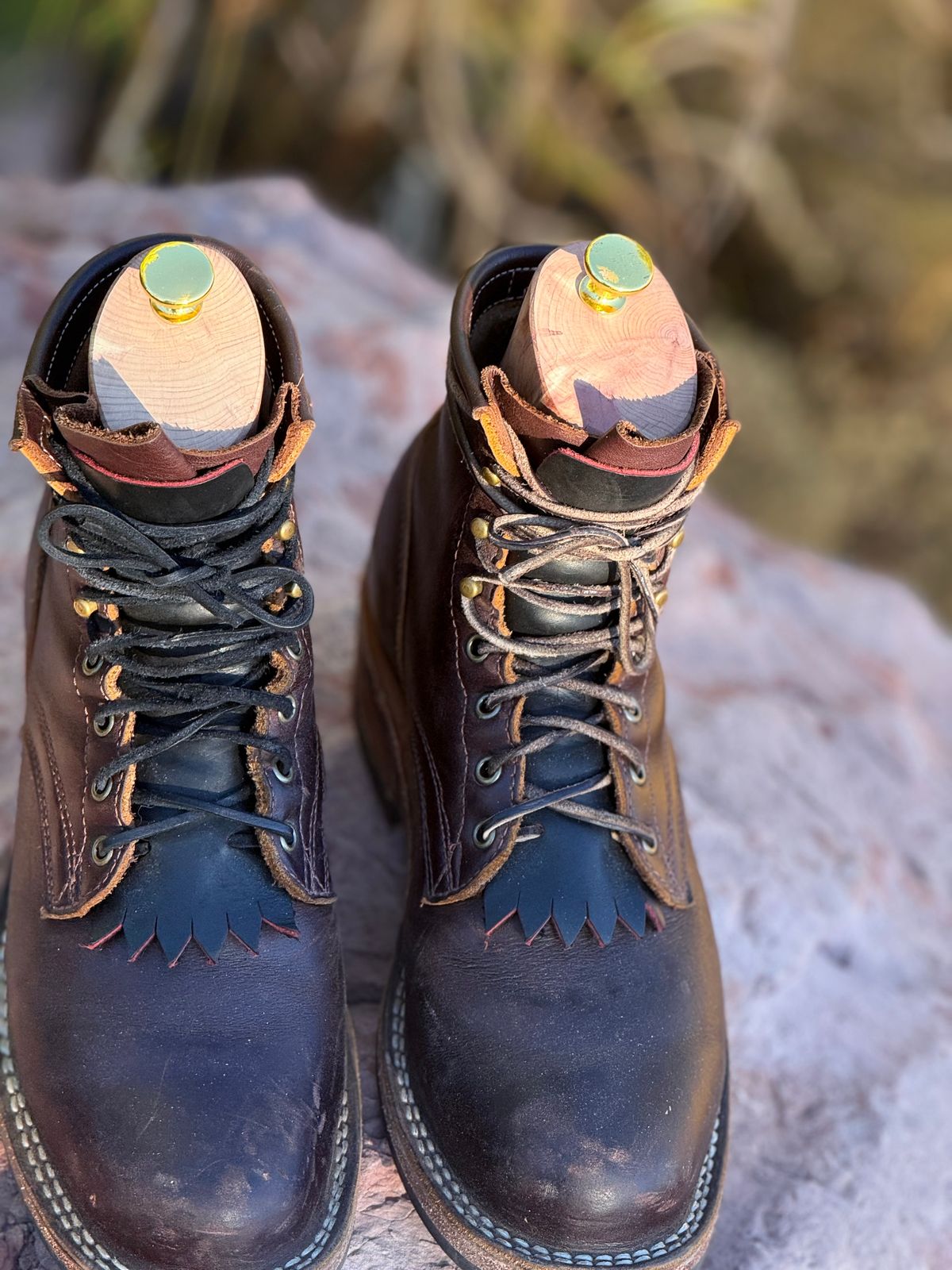 Photo by Ahab78 on December 1, 2025 of the Frank's Boots Wilshire in Seidel Brown Domain.