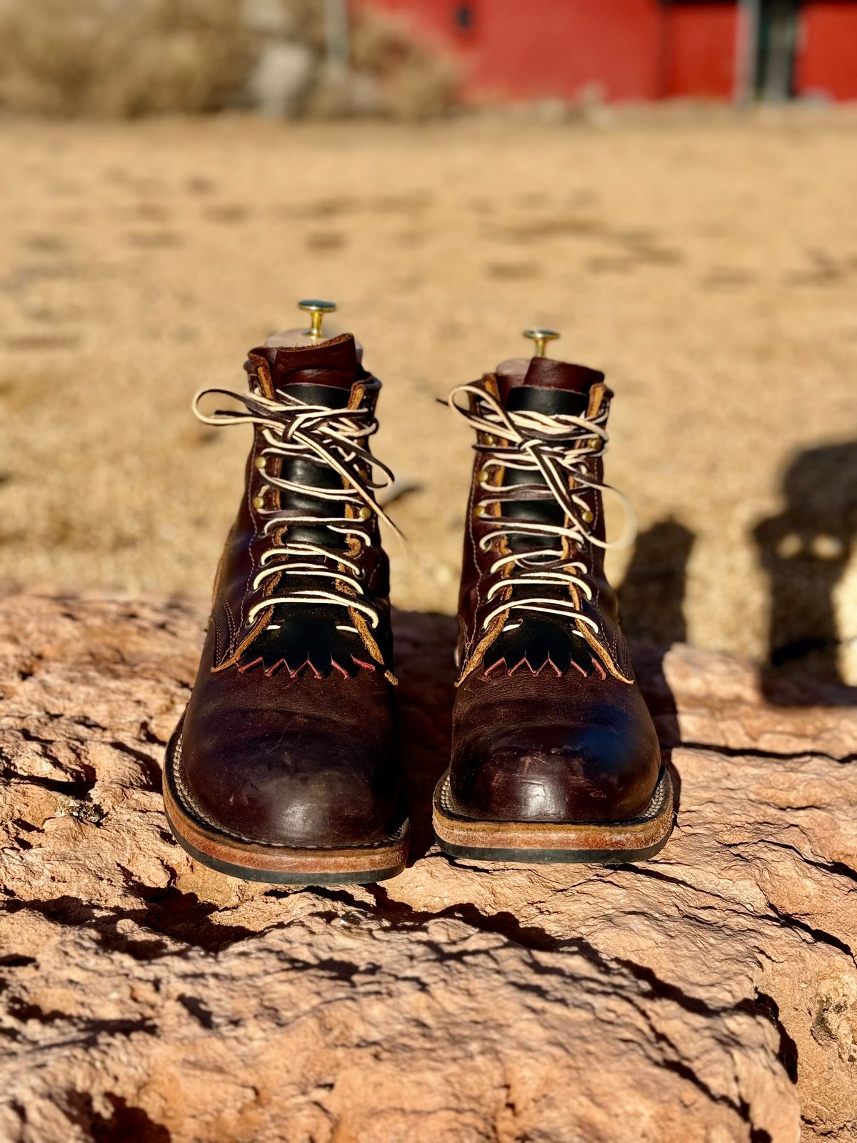 Photo by Ahab78 on January 4, 2026 of the Frank's Boots Wilshire in Seidel Brown Domain.