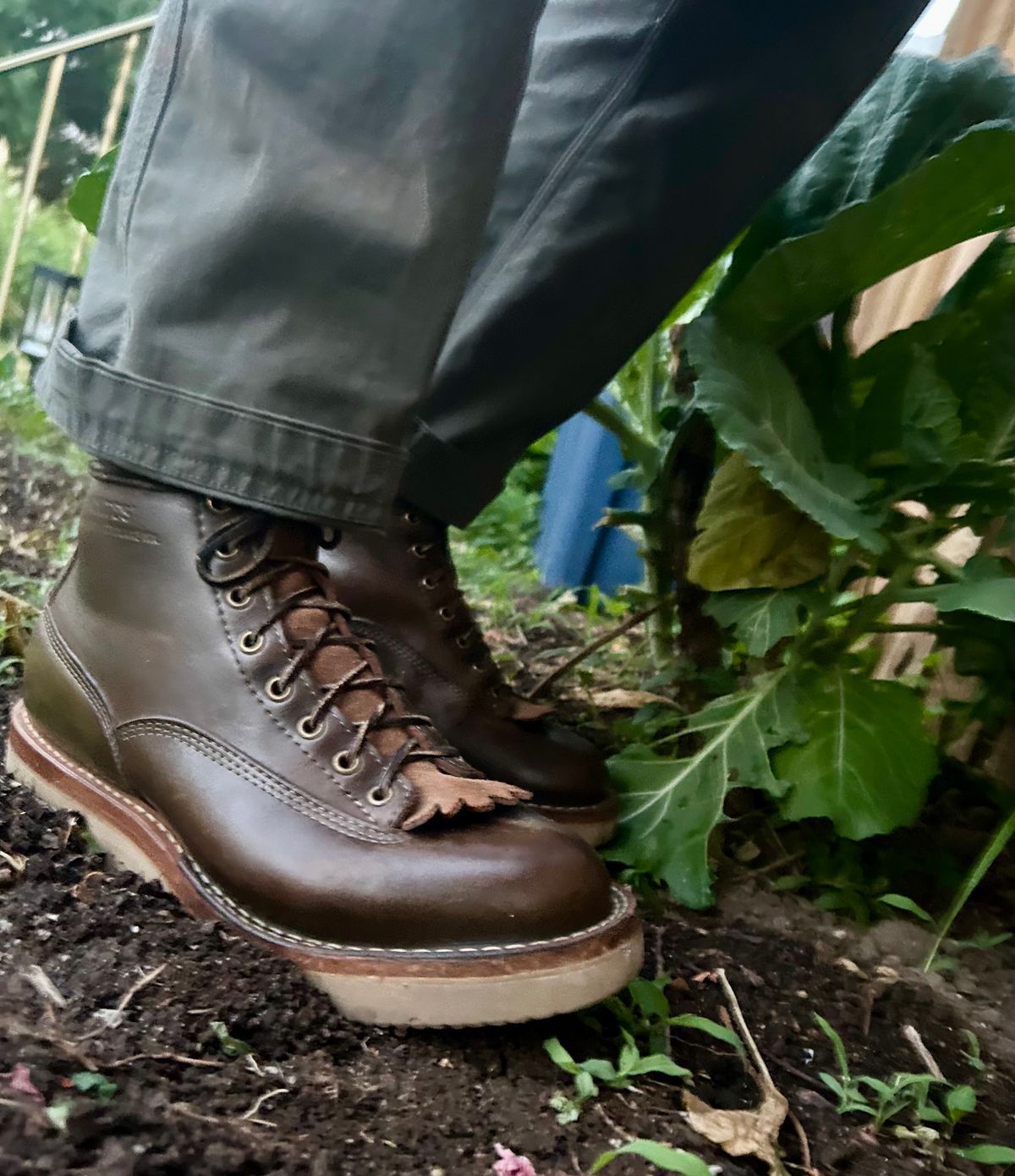 Photo by Vic on June 13, 2026 of the White's C350ltt-cs in Horween Greener Pastures Dublin.