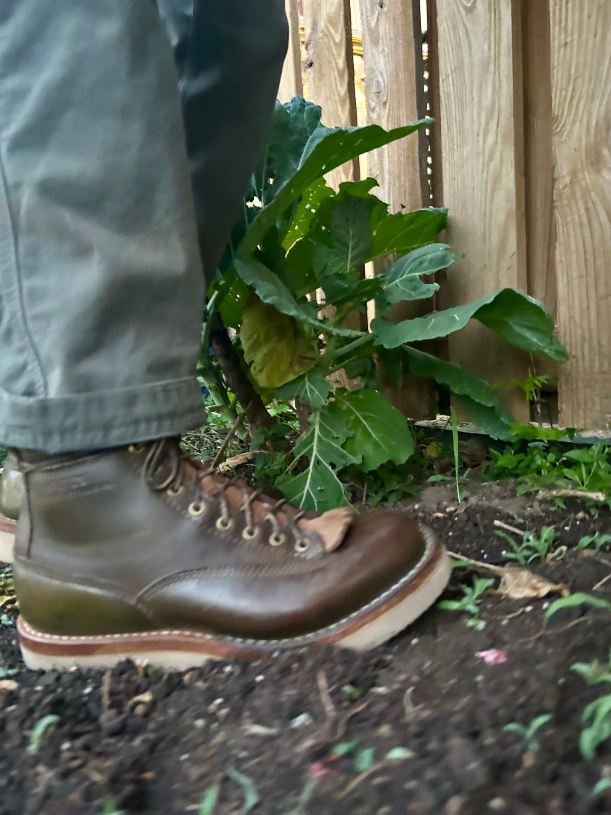 Photo by Vic on June 13, 2026 of the White's C350ltt-cs in Horween Greener Pastures Dublin.